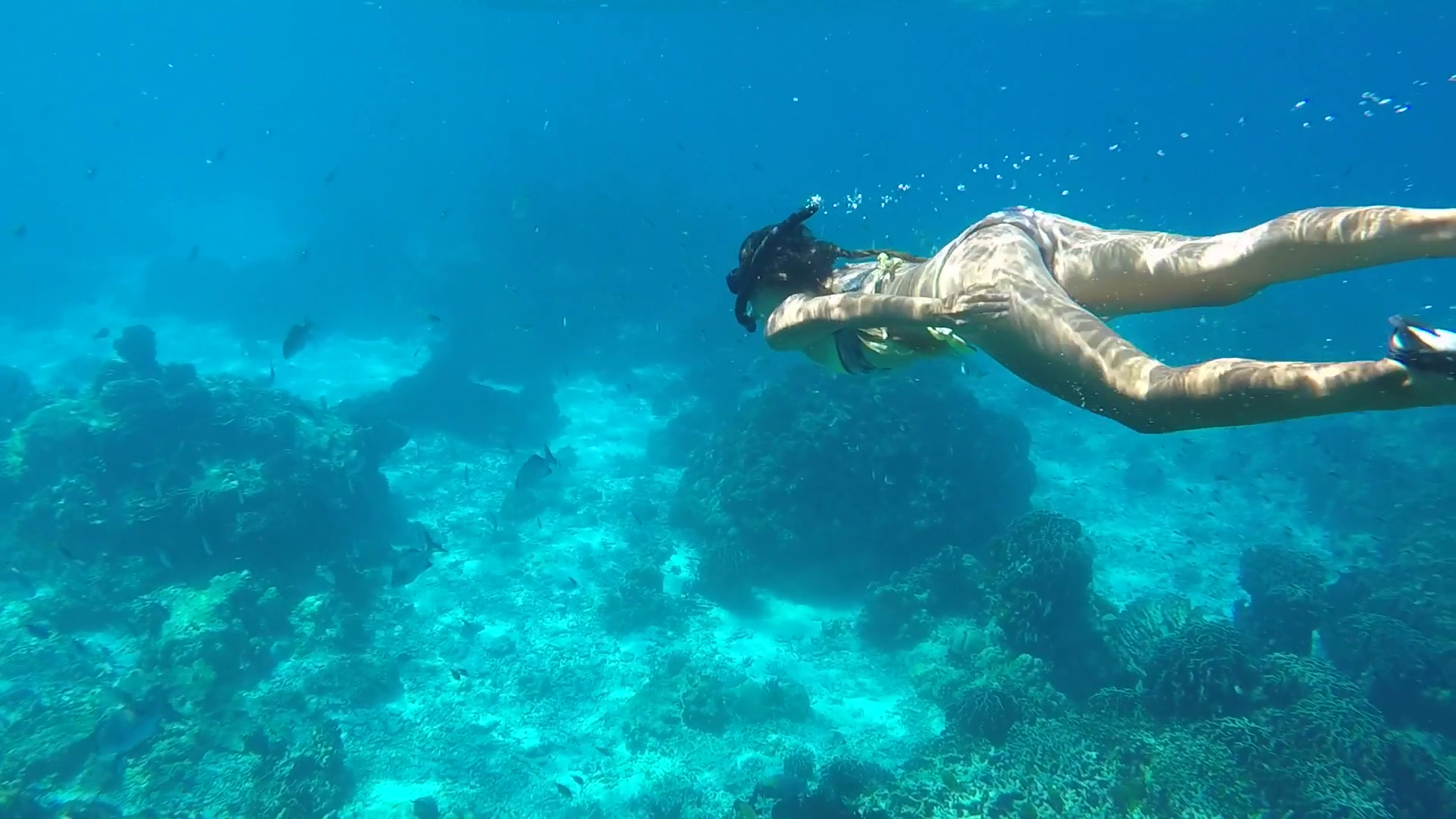 Athletic Girl Diving Underwater. Snorkeling Young Woman Swimming in ...