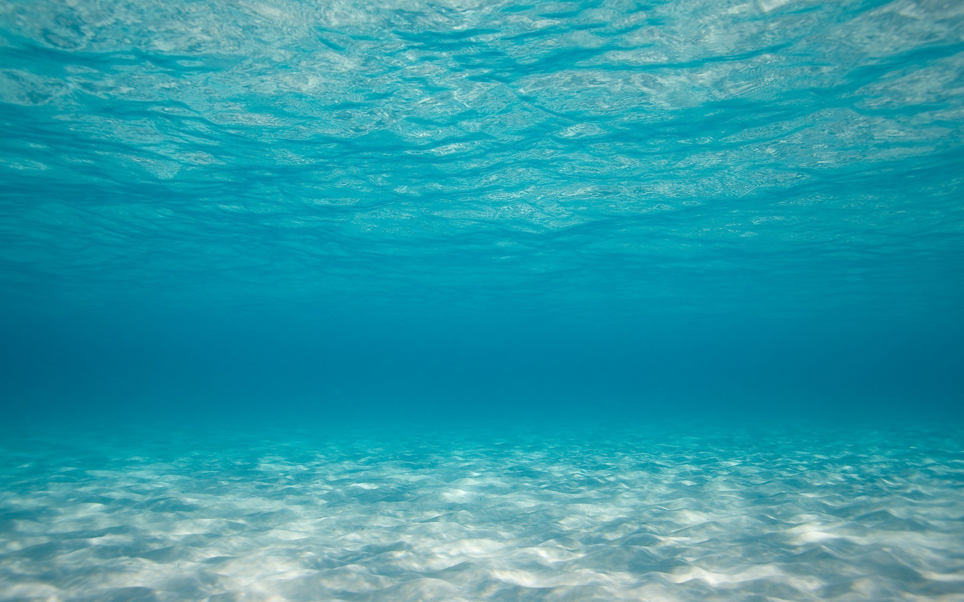 underwater-nature-ocean-sea – E C O C E A N
