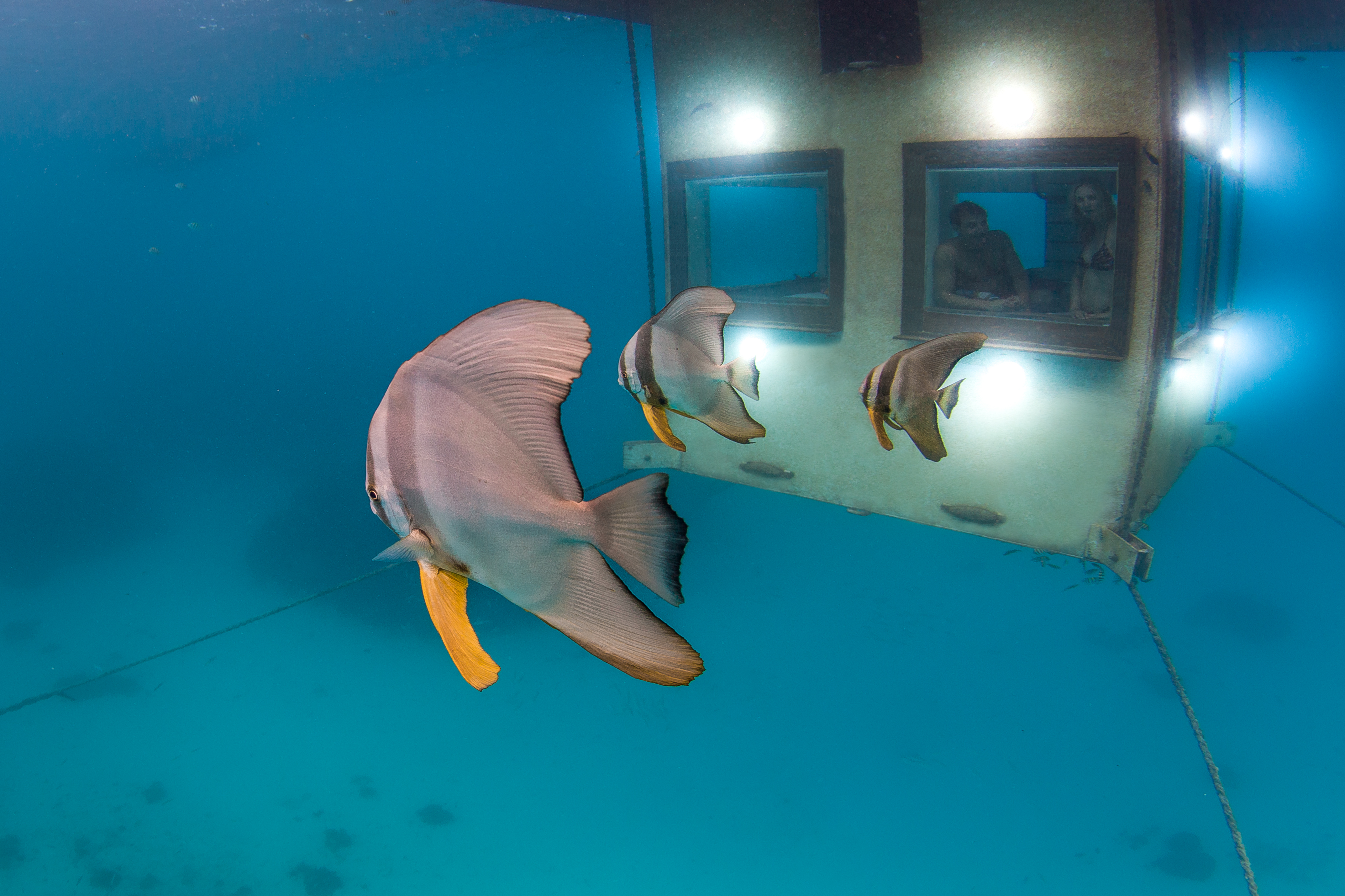 The Manta Resort | Underwater Room