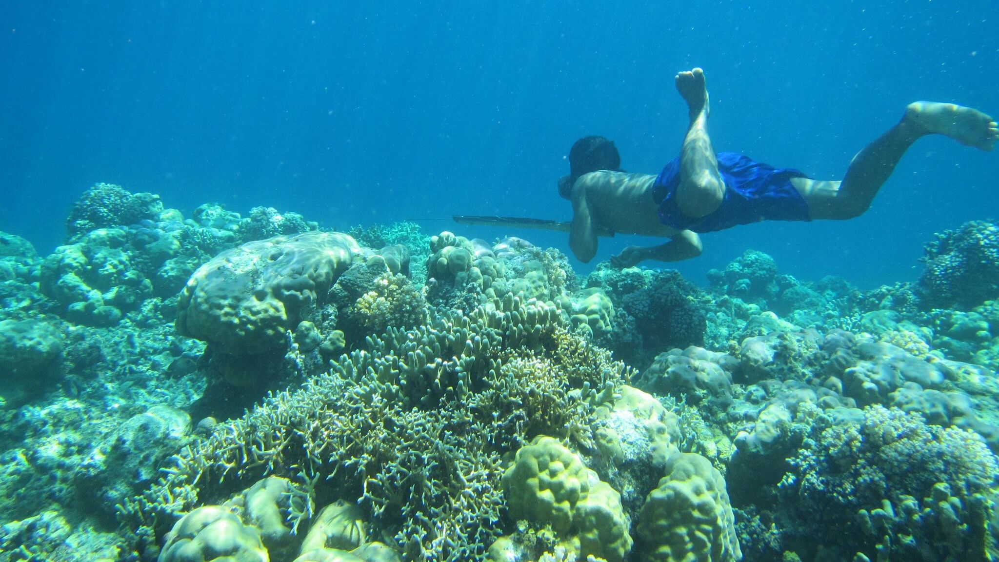Rare Mutation Among Bajau People Lets Them Stay Underwater Longer ...
