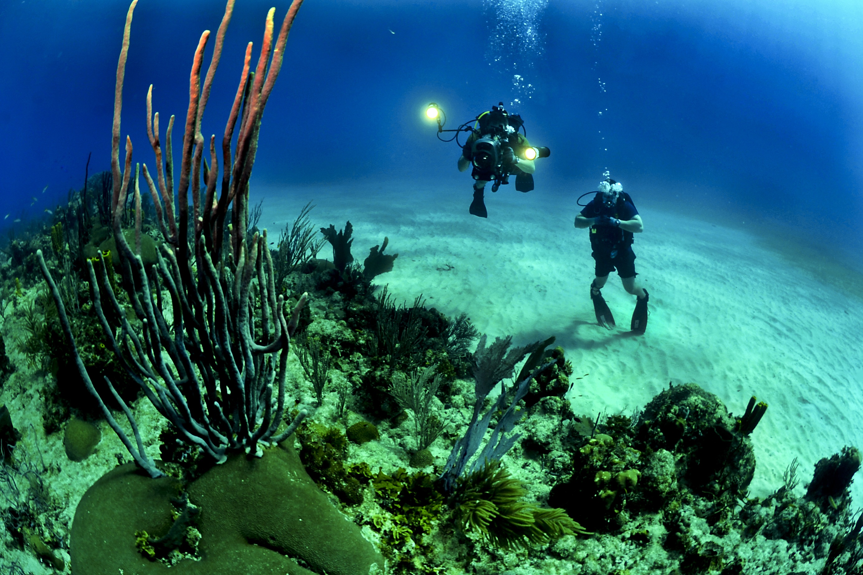 Underwater divers photo