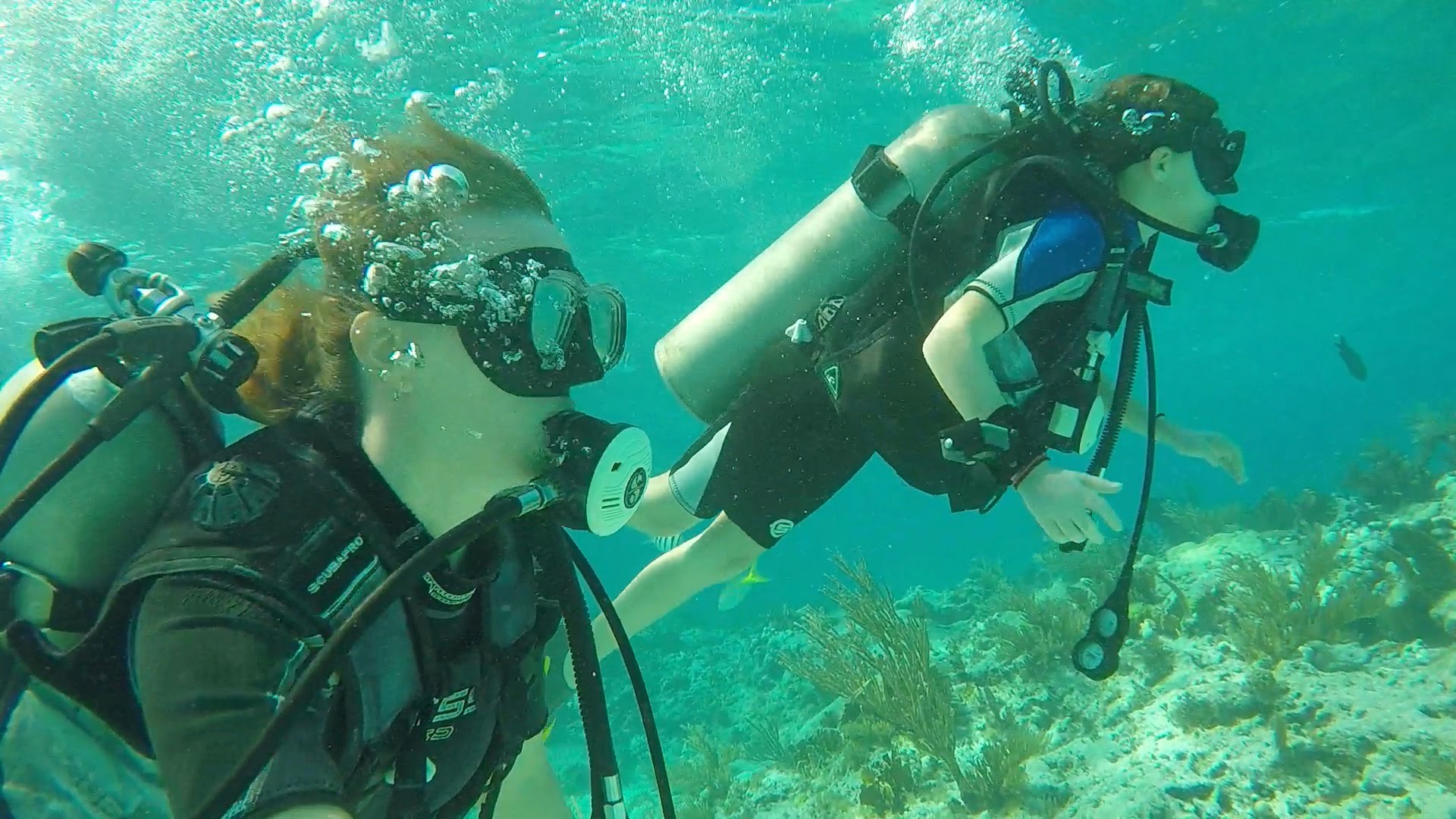 Kids and Scuba Diving - YouTube