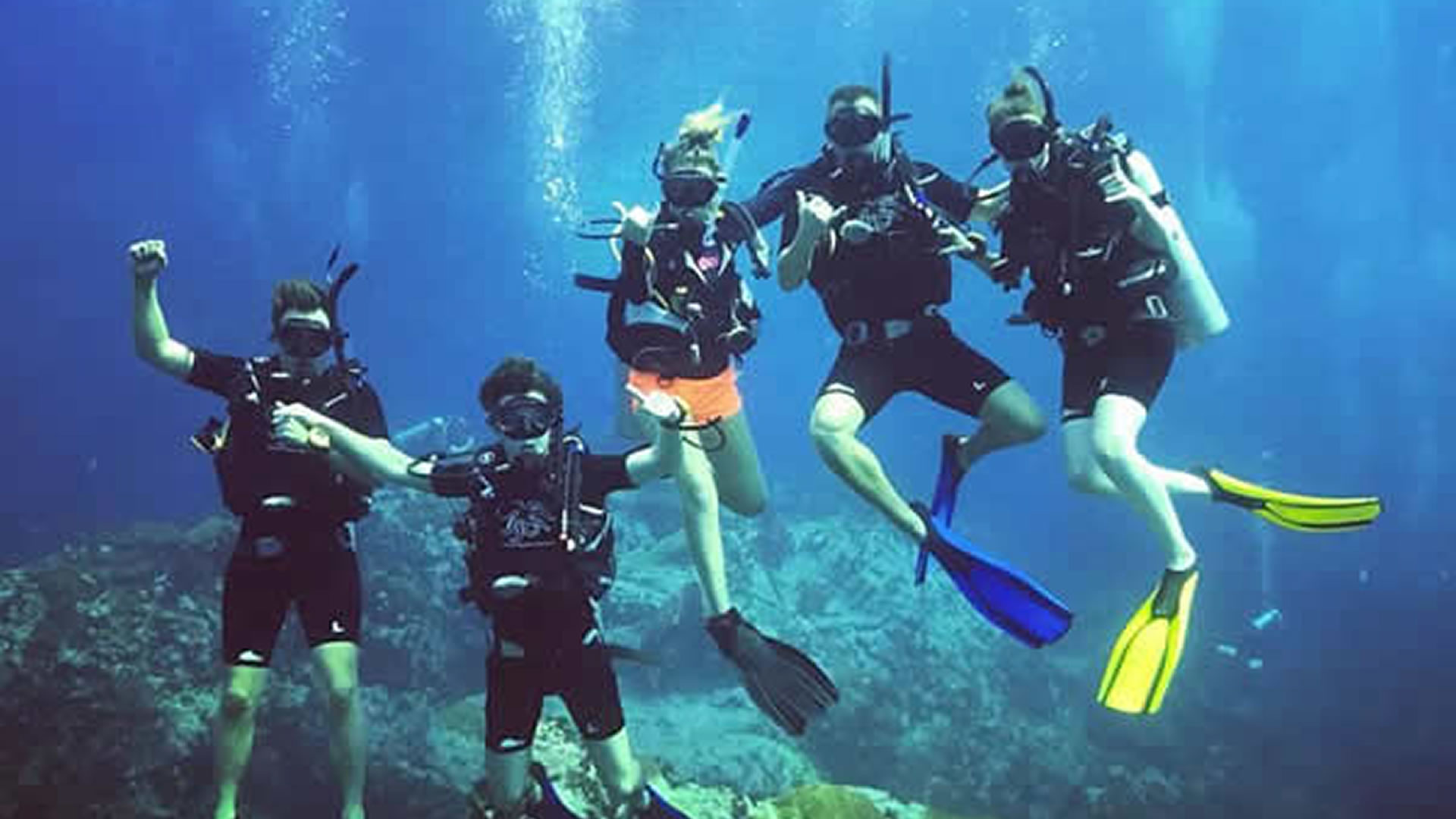 SCUBA Diving Koh Tao Thailand | Scuba Junction Diving - Home
