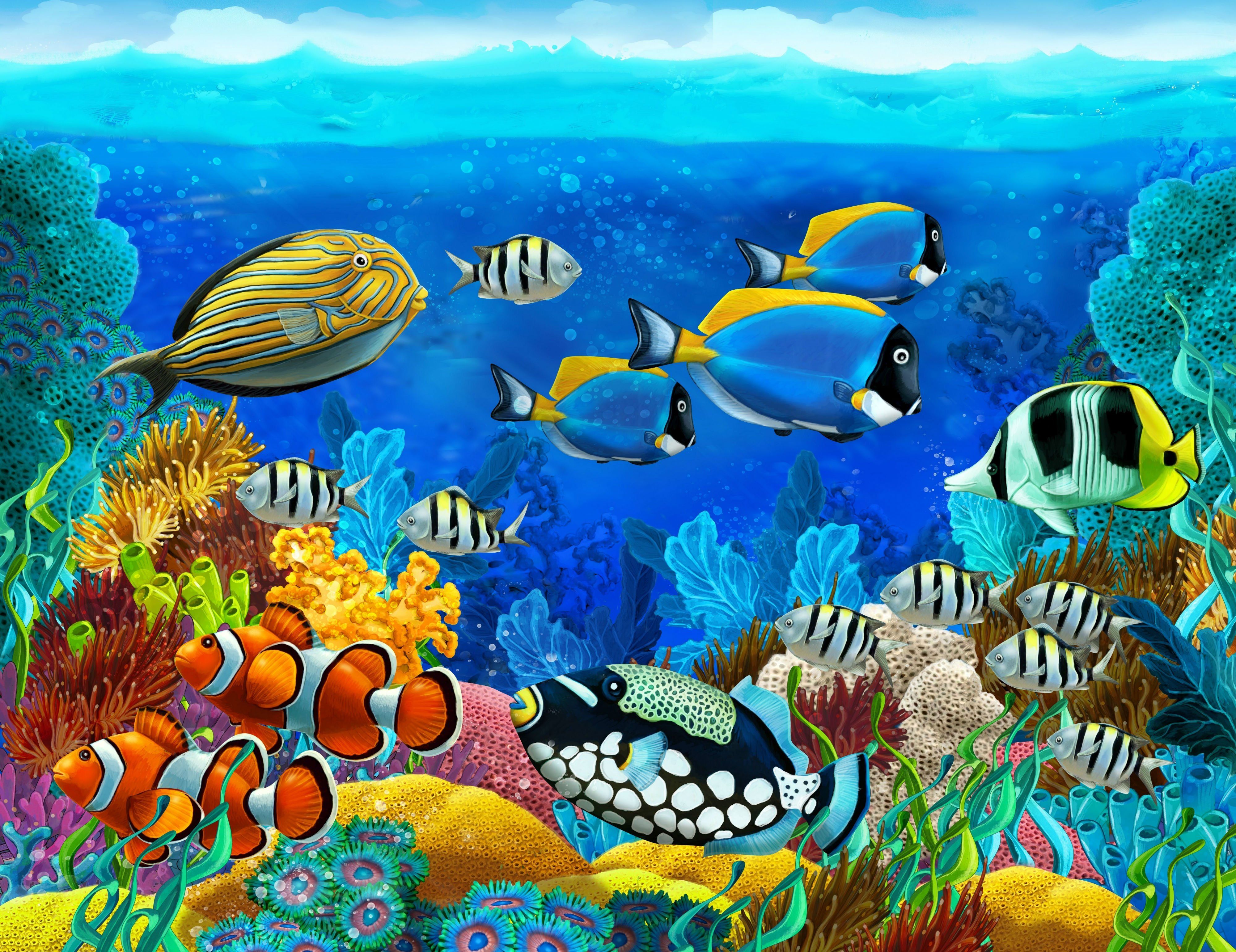 Underwater Fish Wallpaper | wallpapers | Pinterest | Underwater fish ...