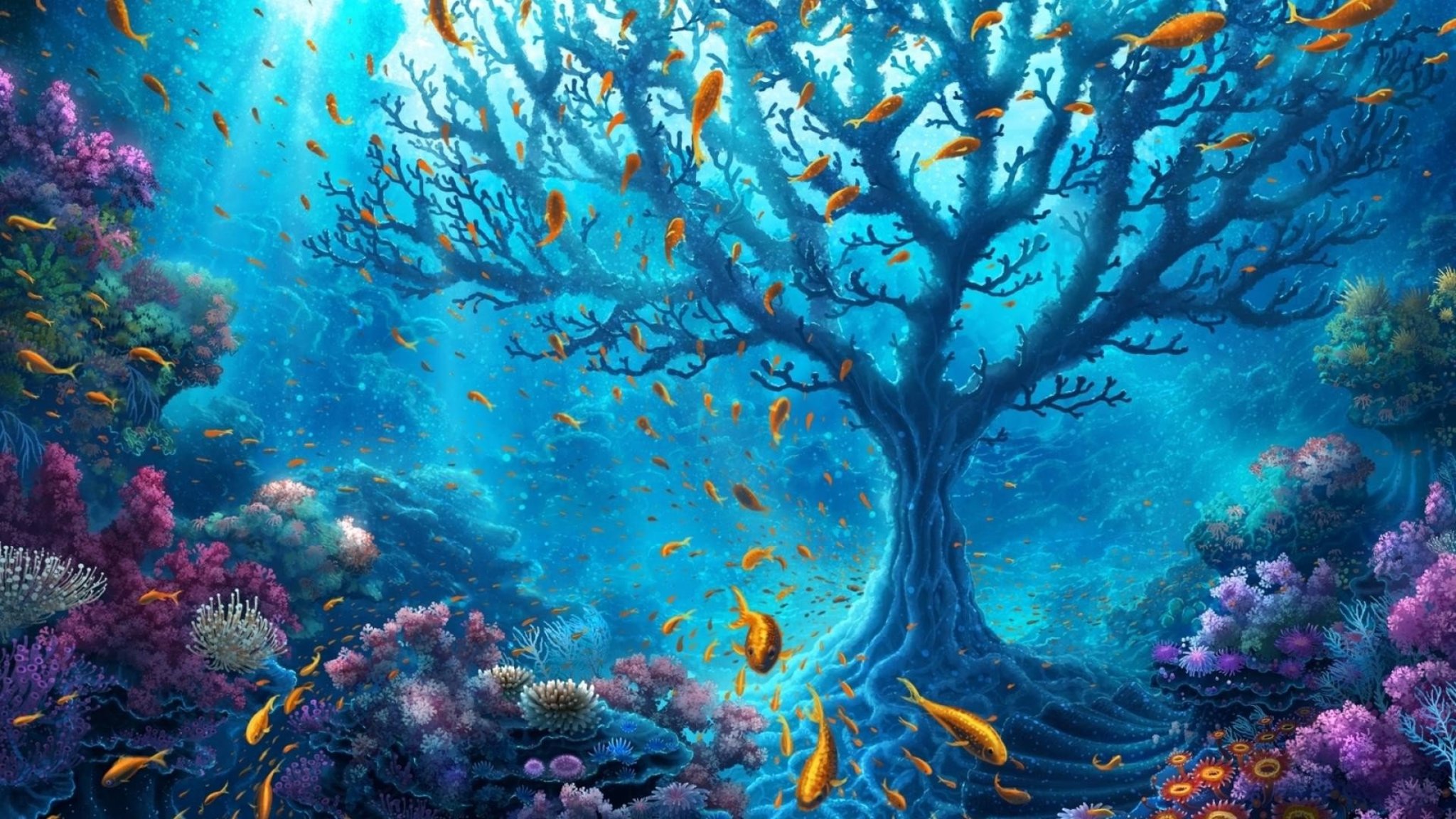 Underwater world photo