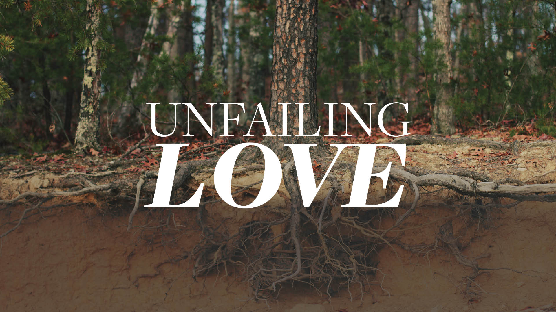Unfailing love photo