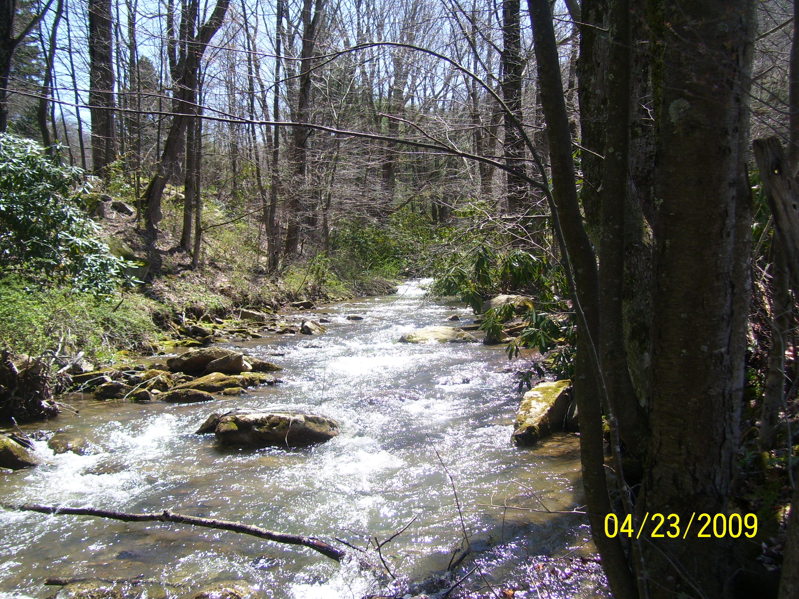 Up Stream, Current, Flow, Forest, Landscape, HQ Photo