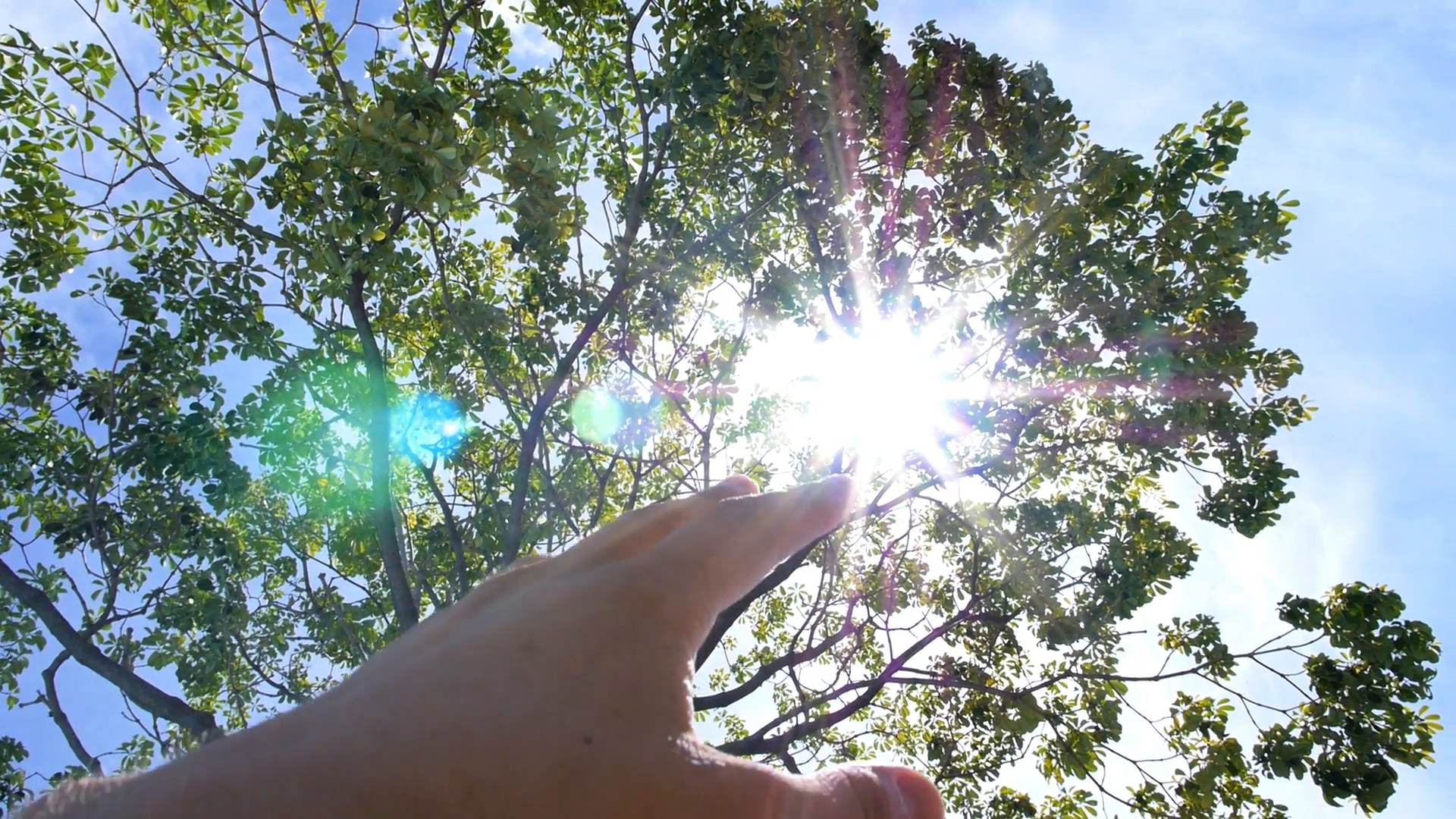Enjoying the Nature. Hand to Sun. Uplifting Slow Motion. Stock Video ...