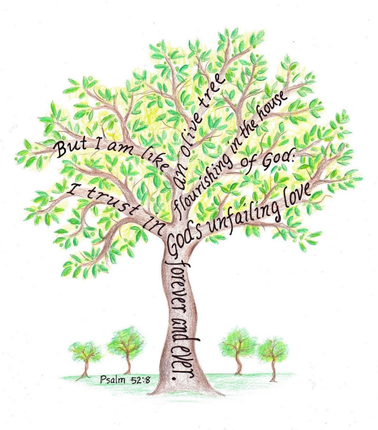 Tree pictures with scripture verses | Olive tree drawing ...
