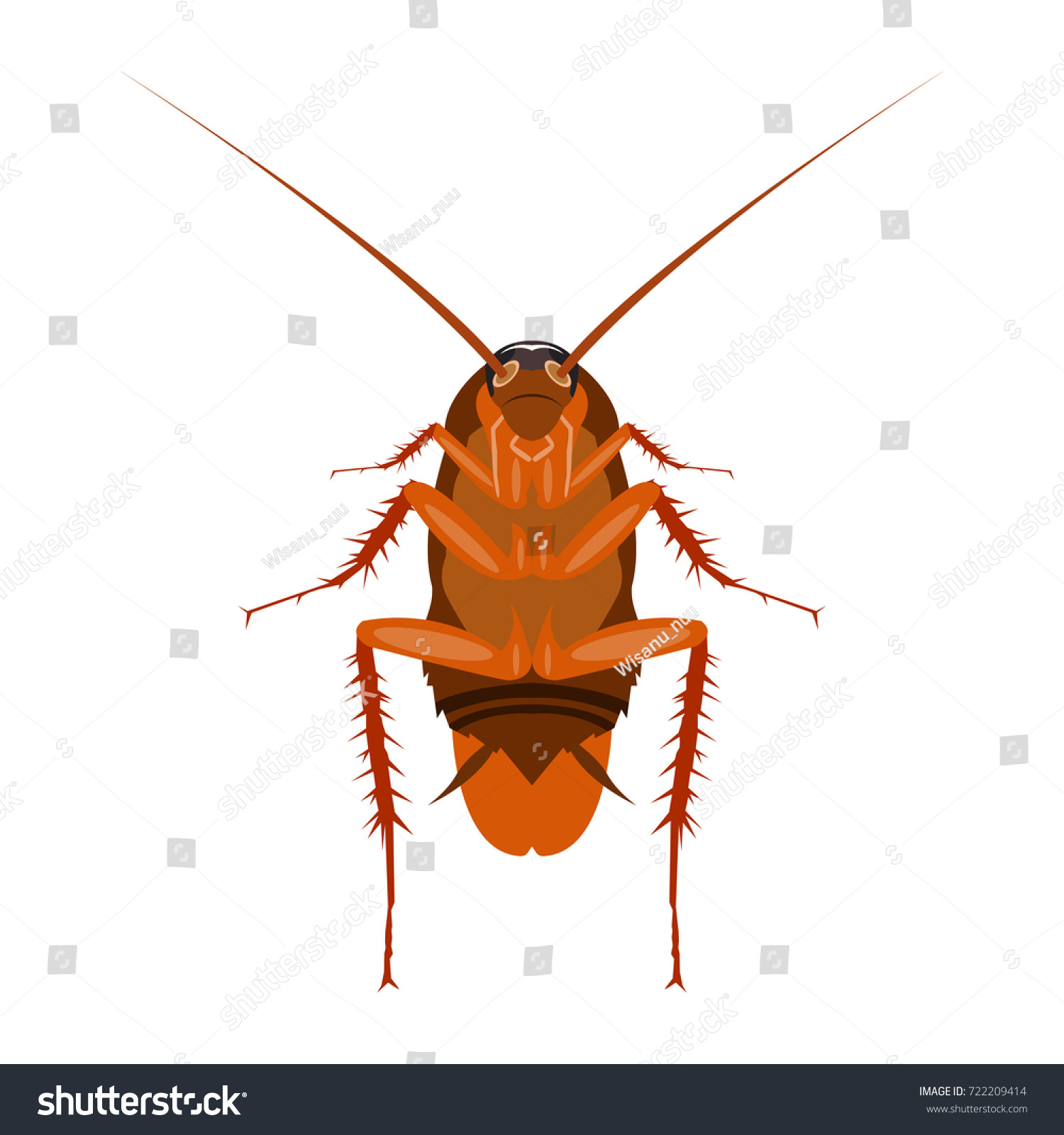 Close Cockroach Image Cartoon Flatstyle Vector Stock Vector ...