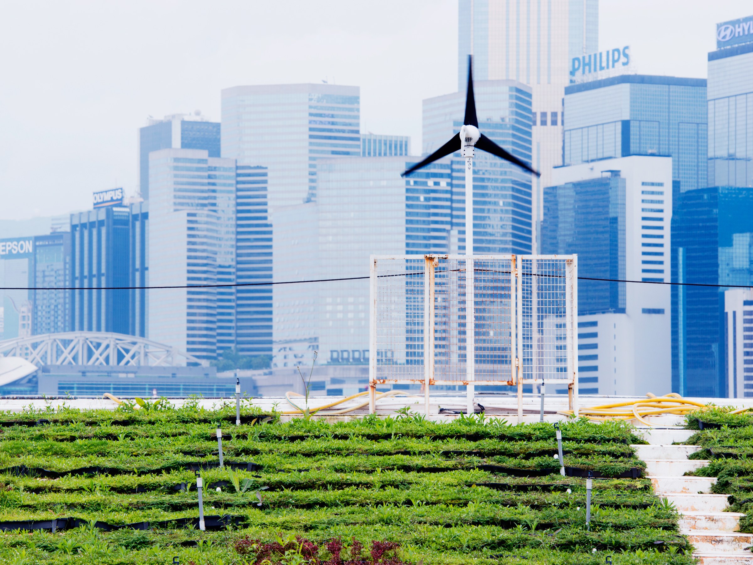 Big Data Suggests Big Potential for Urban Farming | WIRED
