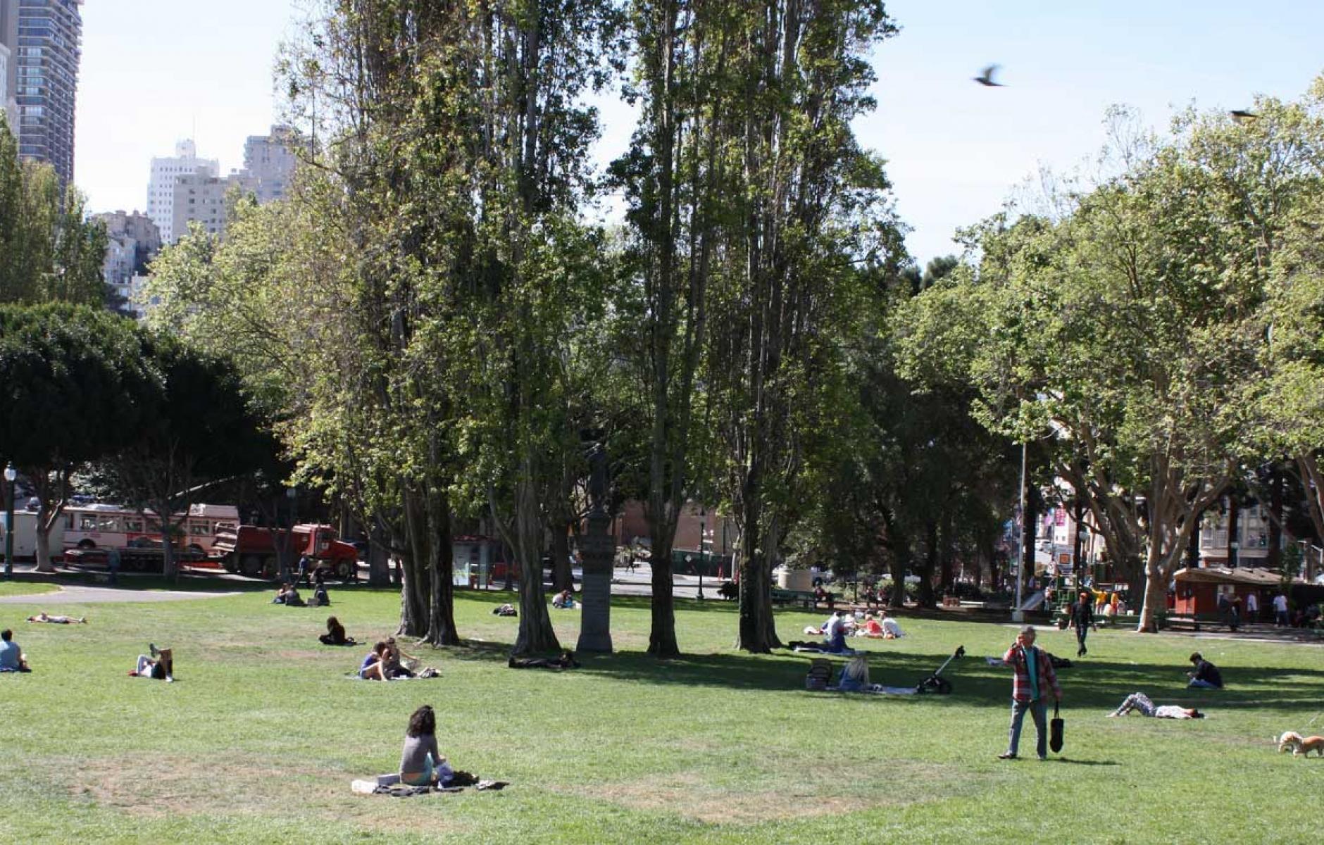 What makes a good urban park | CNU