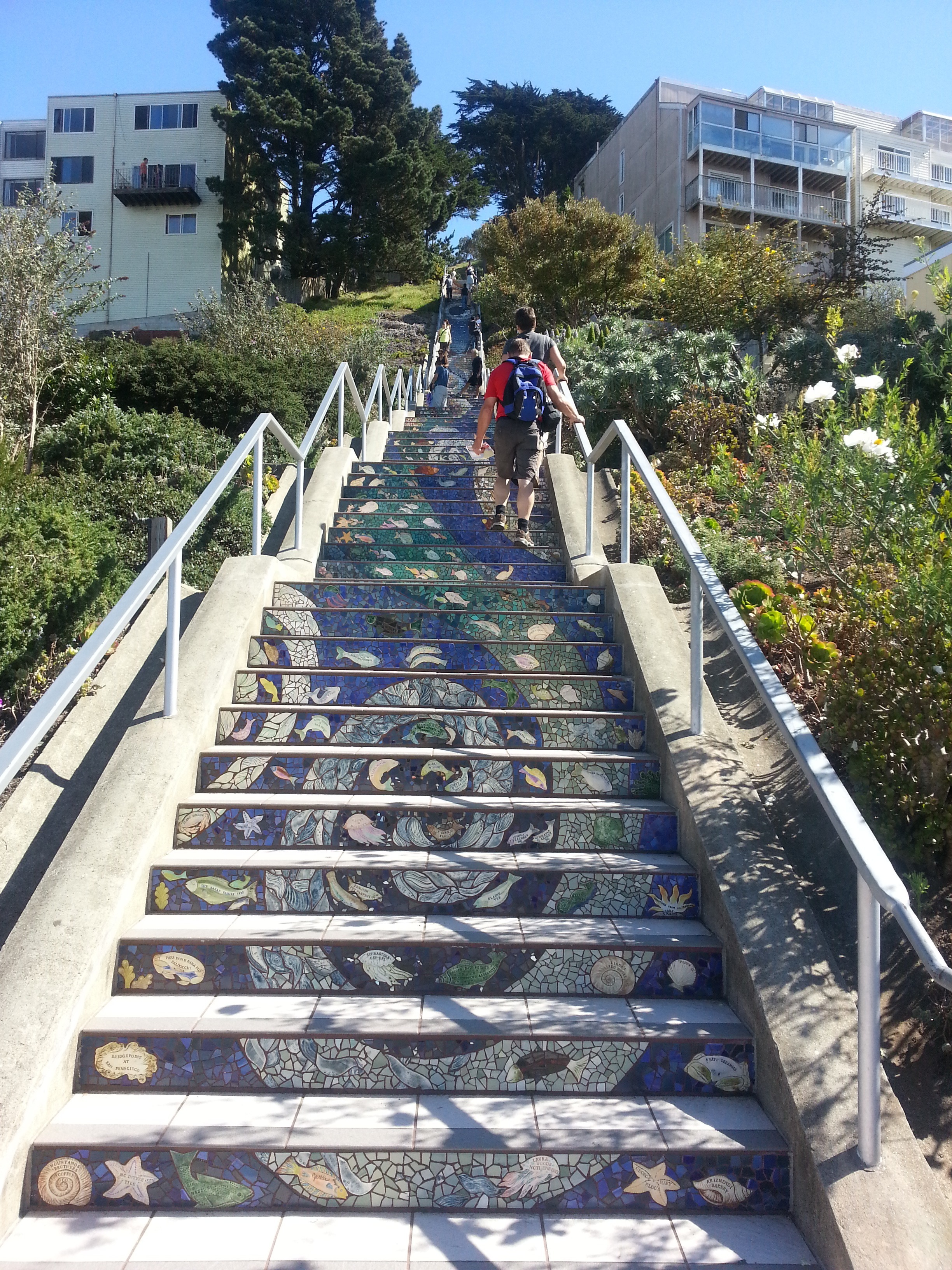 Staircase Walks in San Francisco