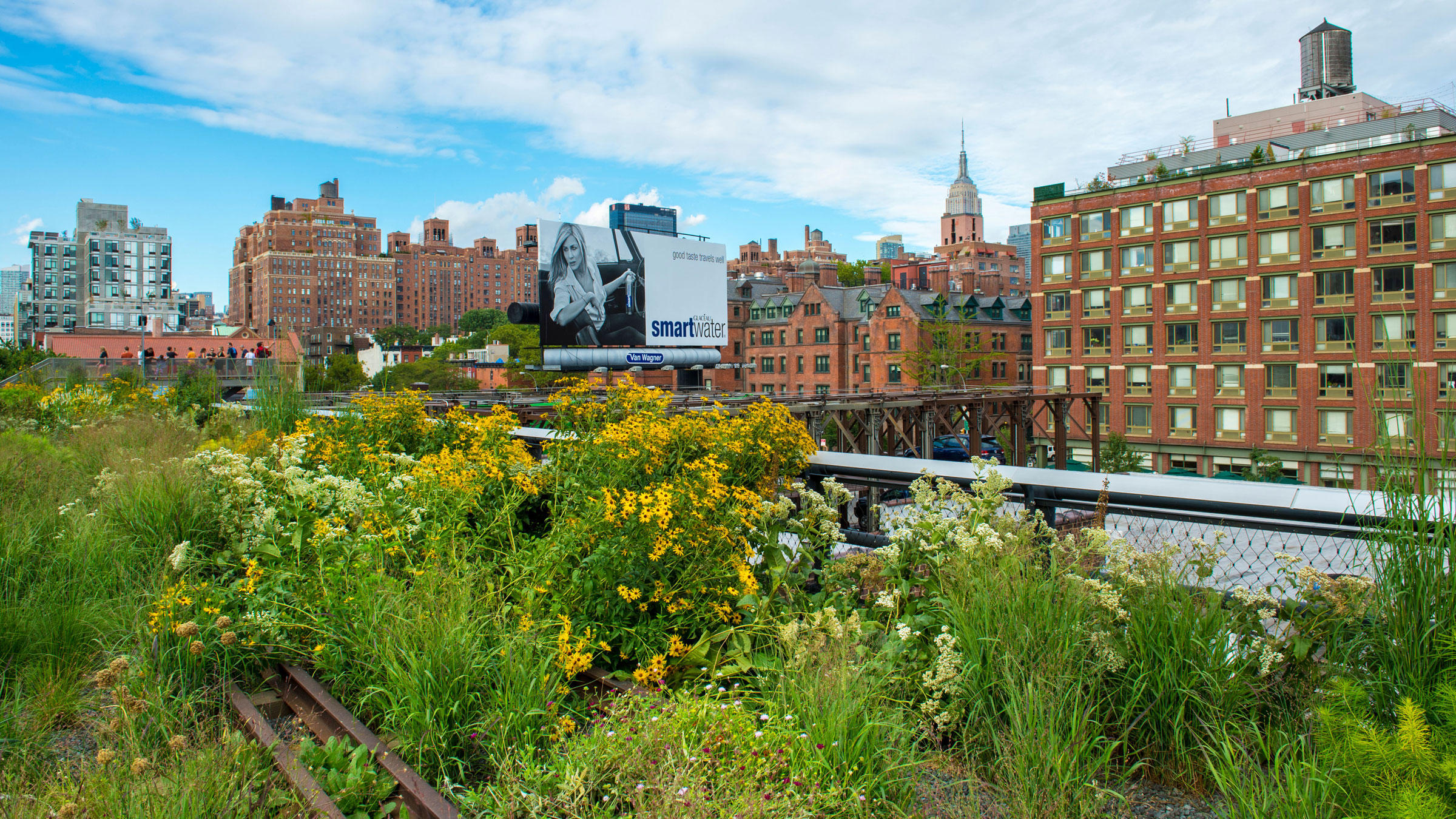 Using Native Plants in Urban Landscaping — NYC High Line Plants ...