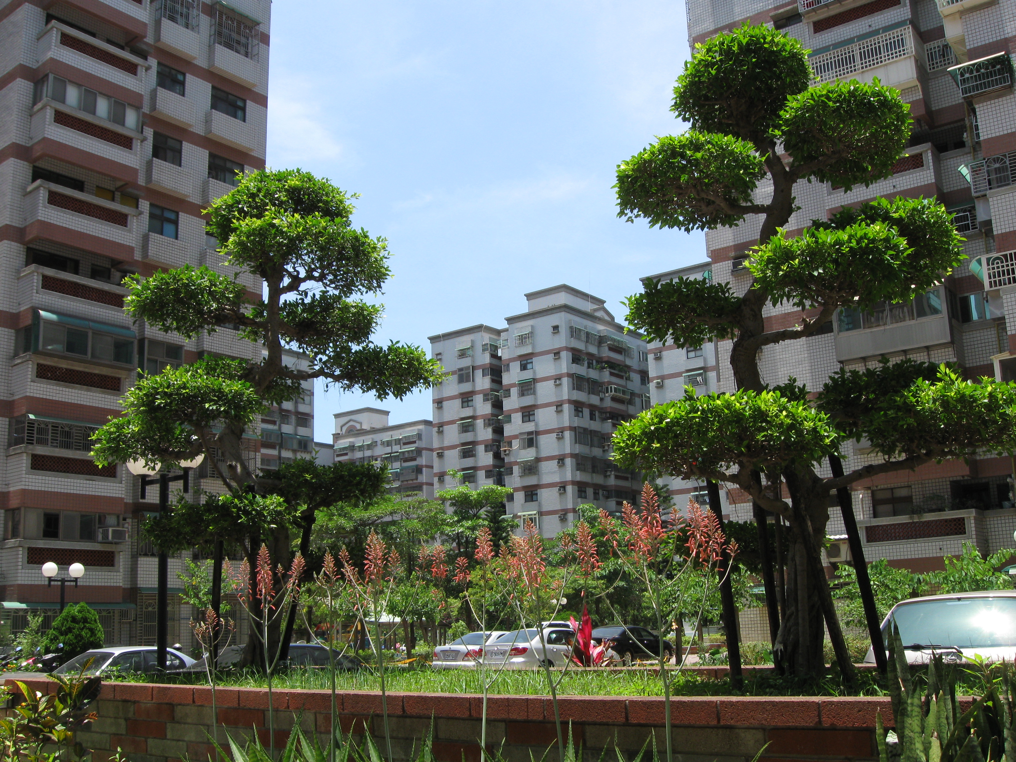 Urban Vegetation, Apartments, City, Flower, Garden, HQ Photo