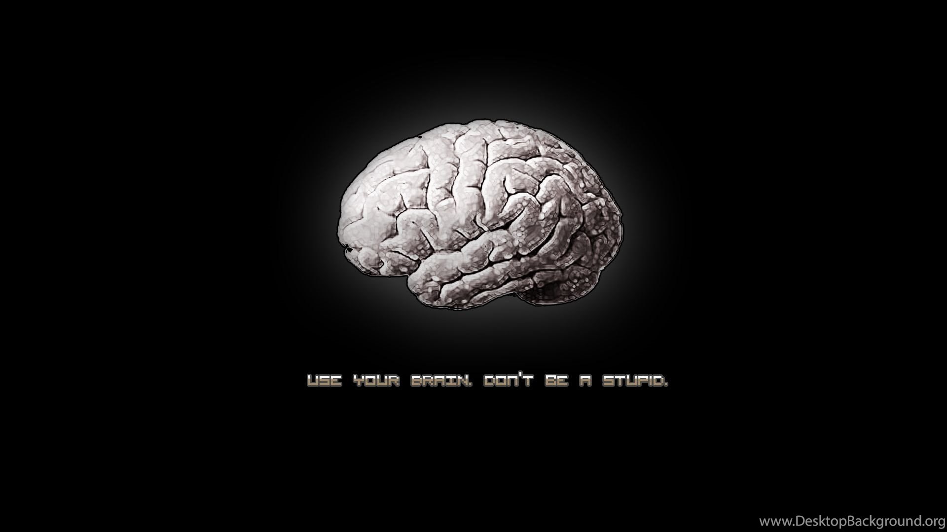 Use Your Brain Wallpapers And Images Wallpapers, Pictures, Photos ...