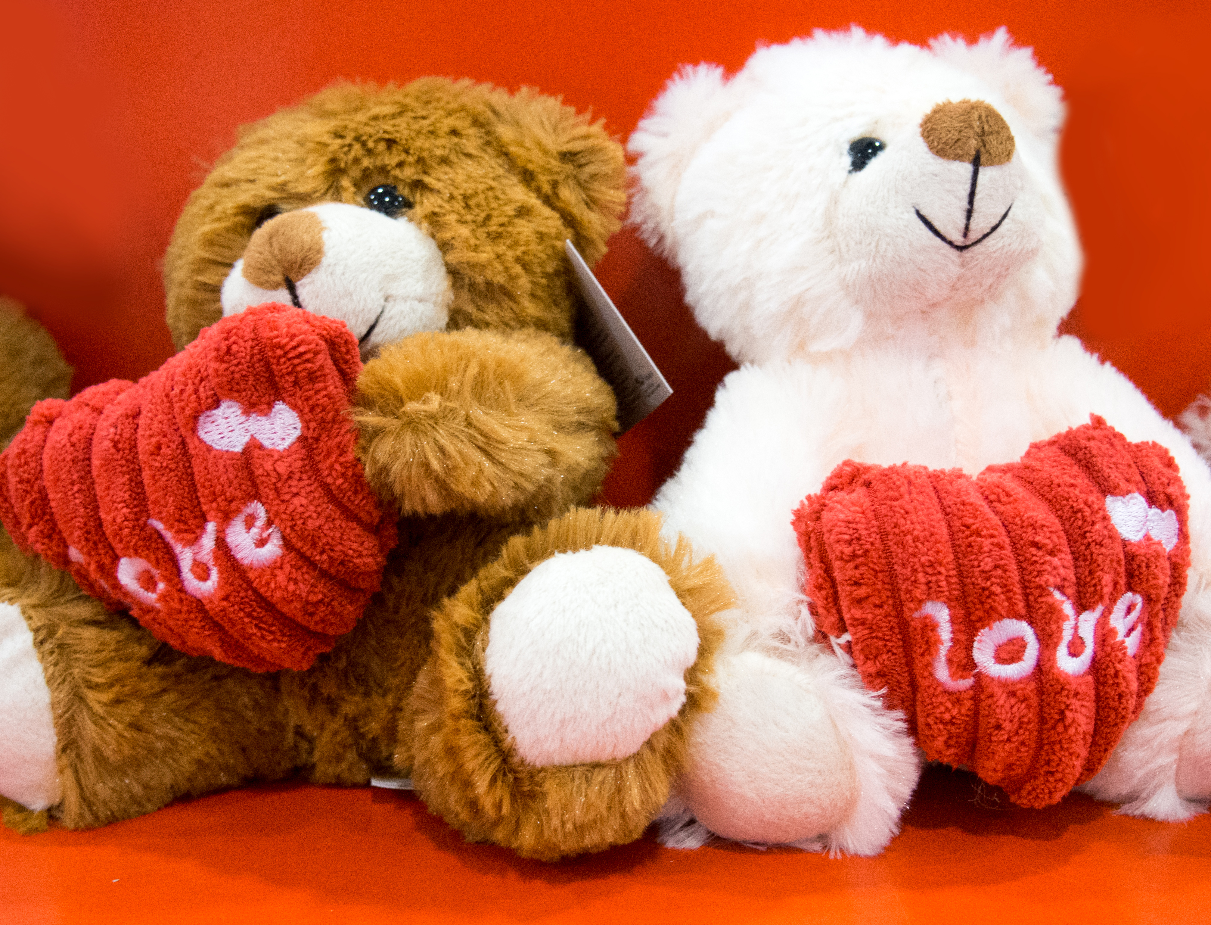 Valentine bears photo