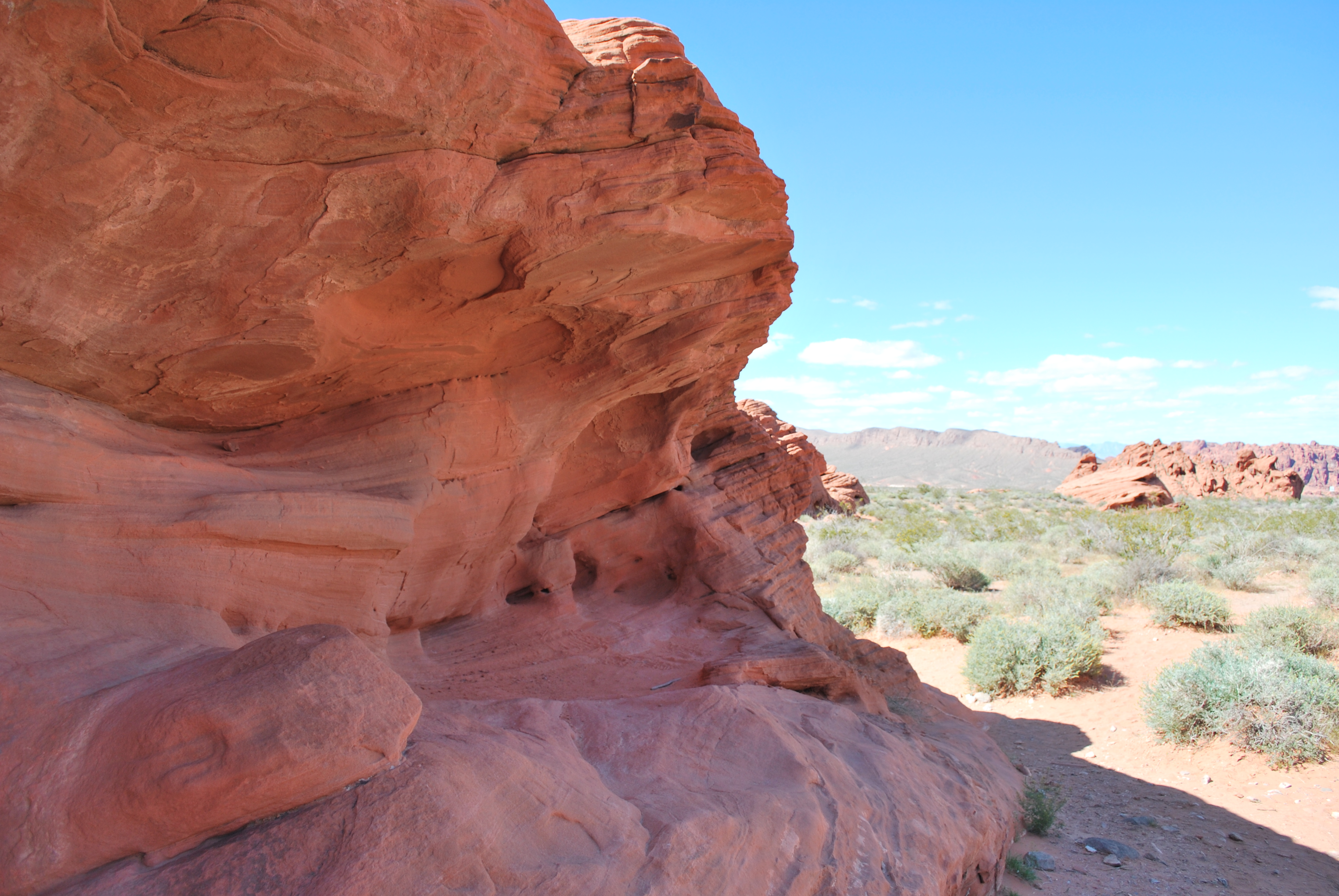 Valley of Fire, Bush, Cliff, Fire, Formation, HQ Photo