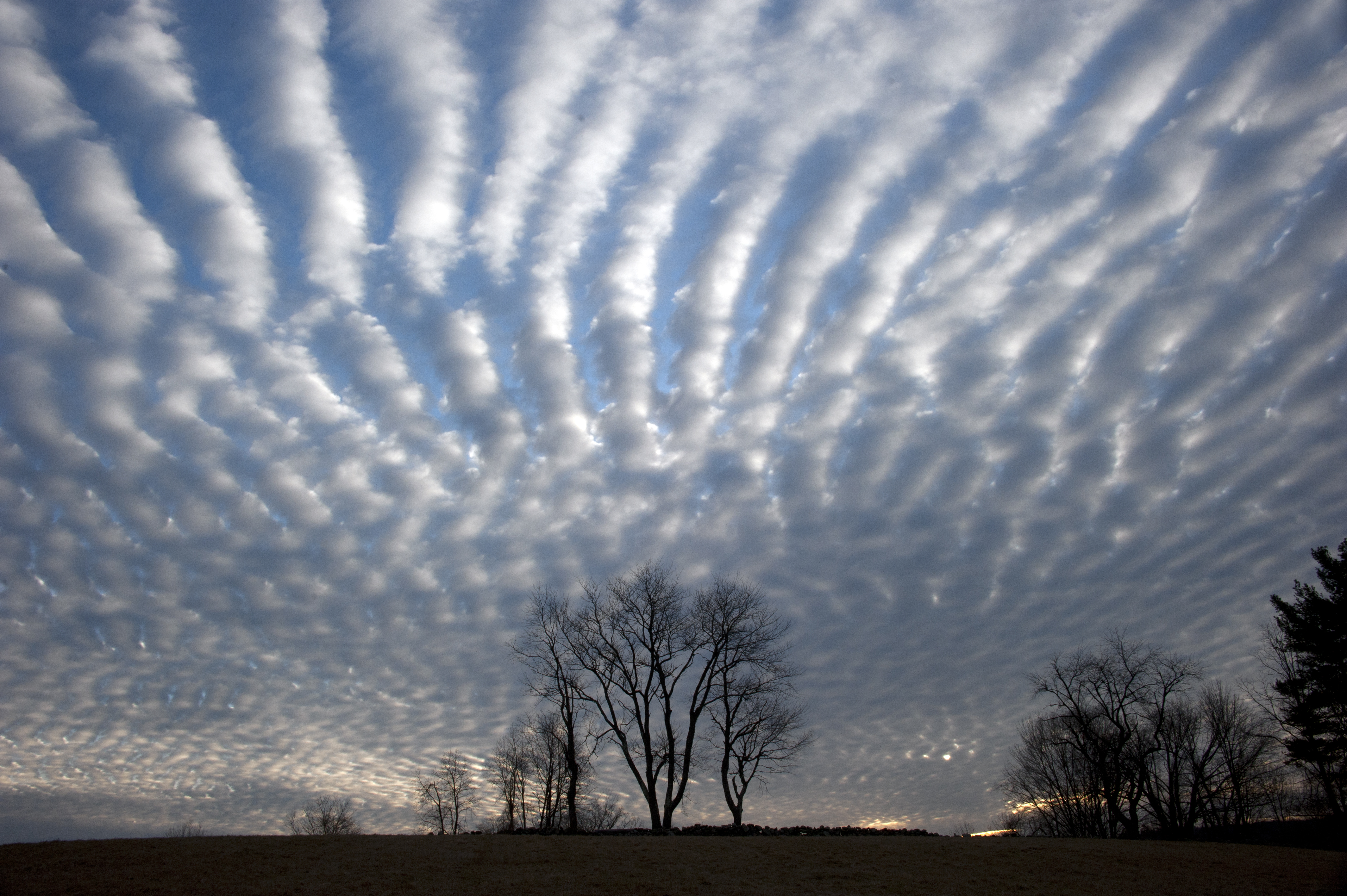 6 Really Interesting Types Of Cloud Formations That Have Quite ...