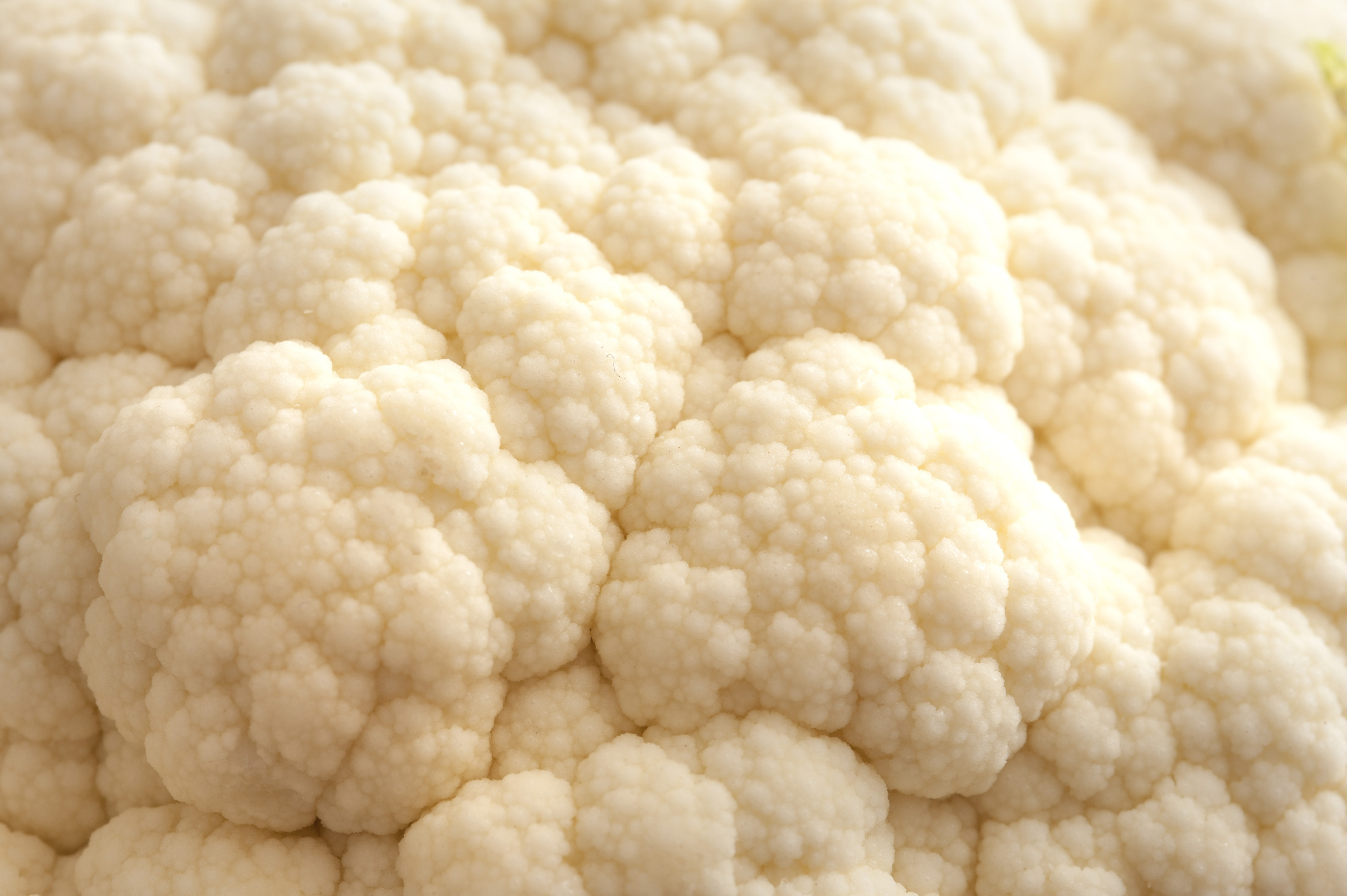 Close-up of cauliflower - Free Stock Image