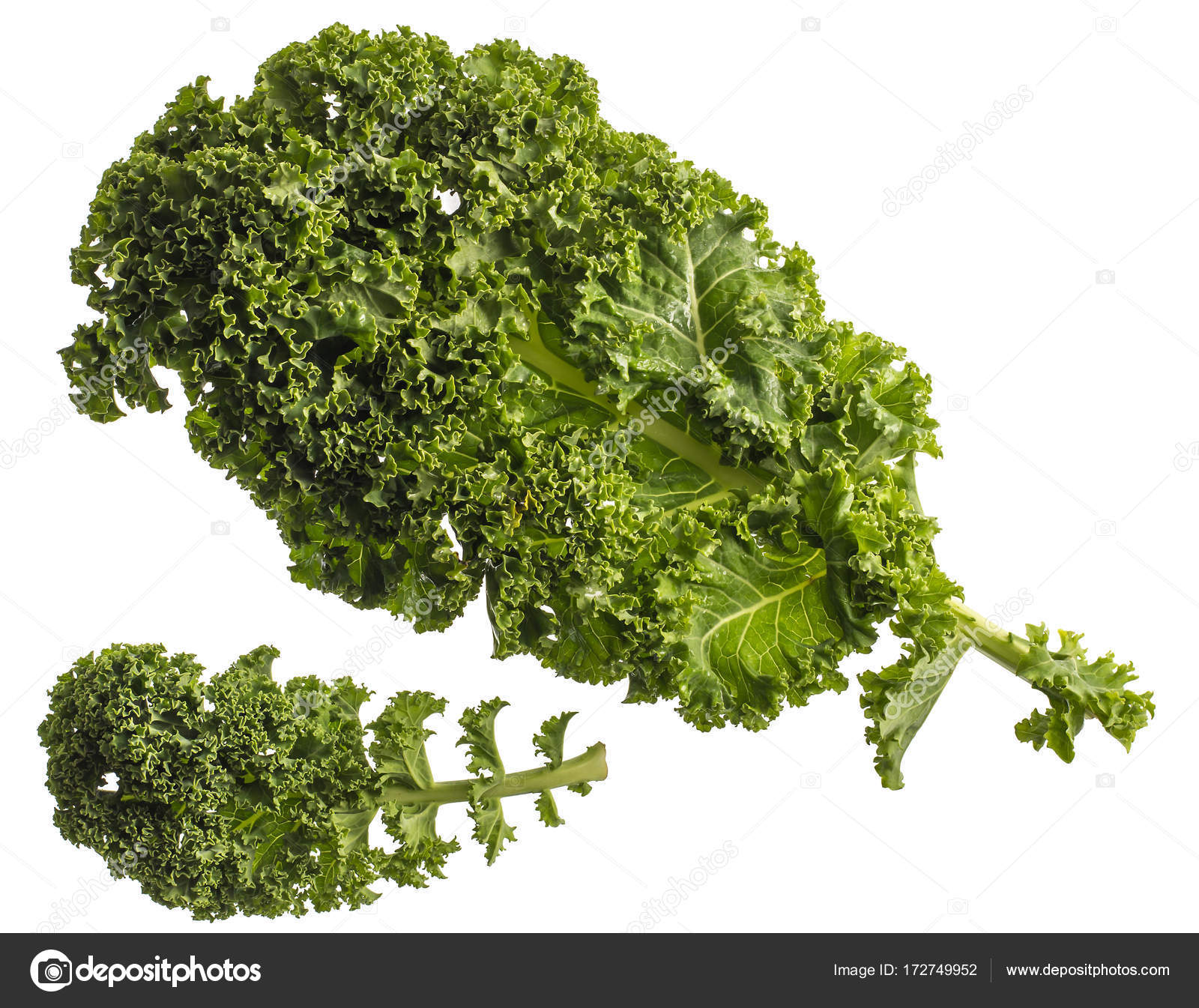 kale leafy vegetable closeup on white — Stock Photo © juriskraulis ...