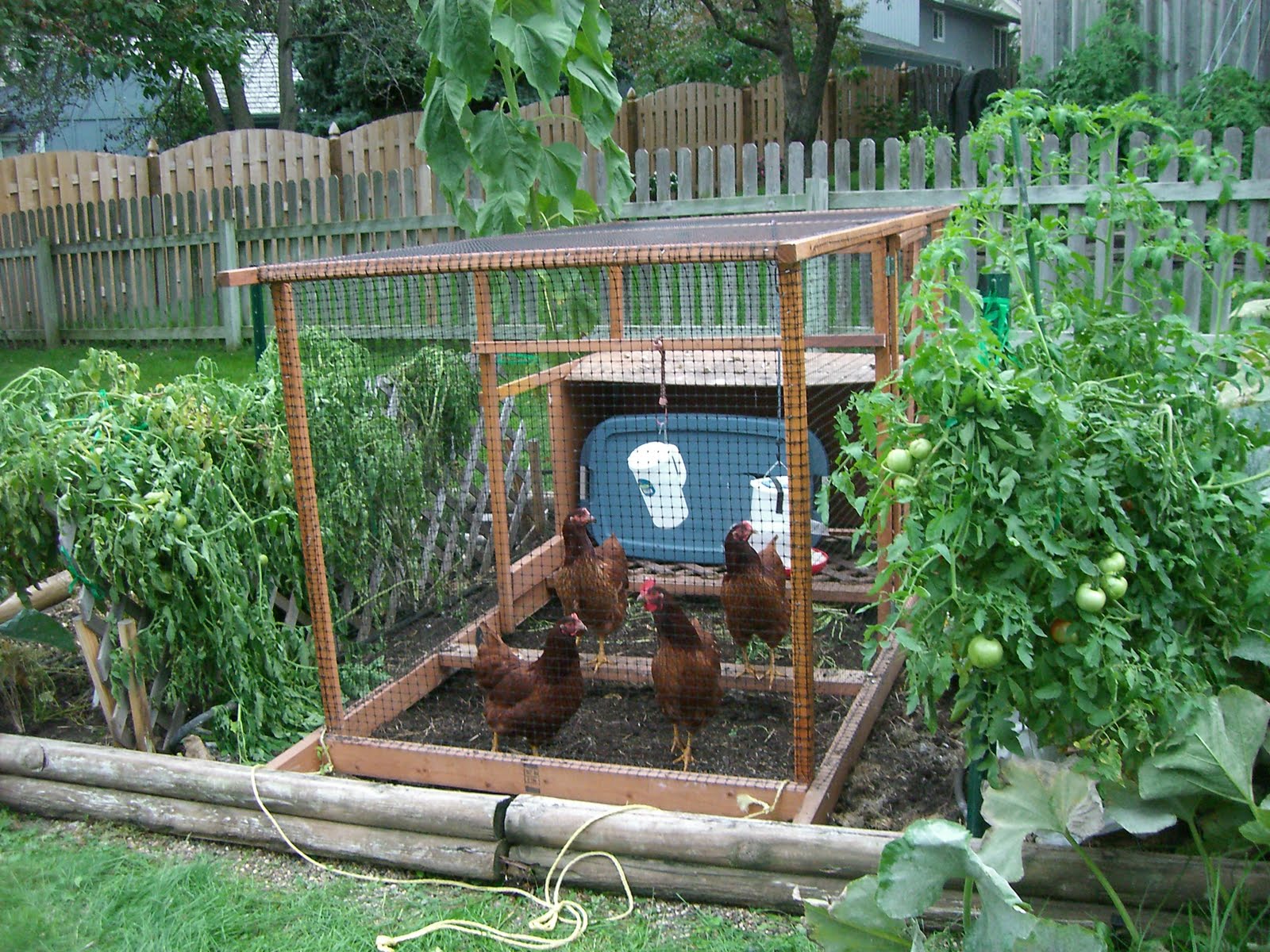 Top Design For Backyard Vegetable Garden 2 #30352