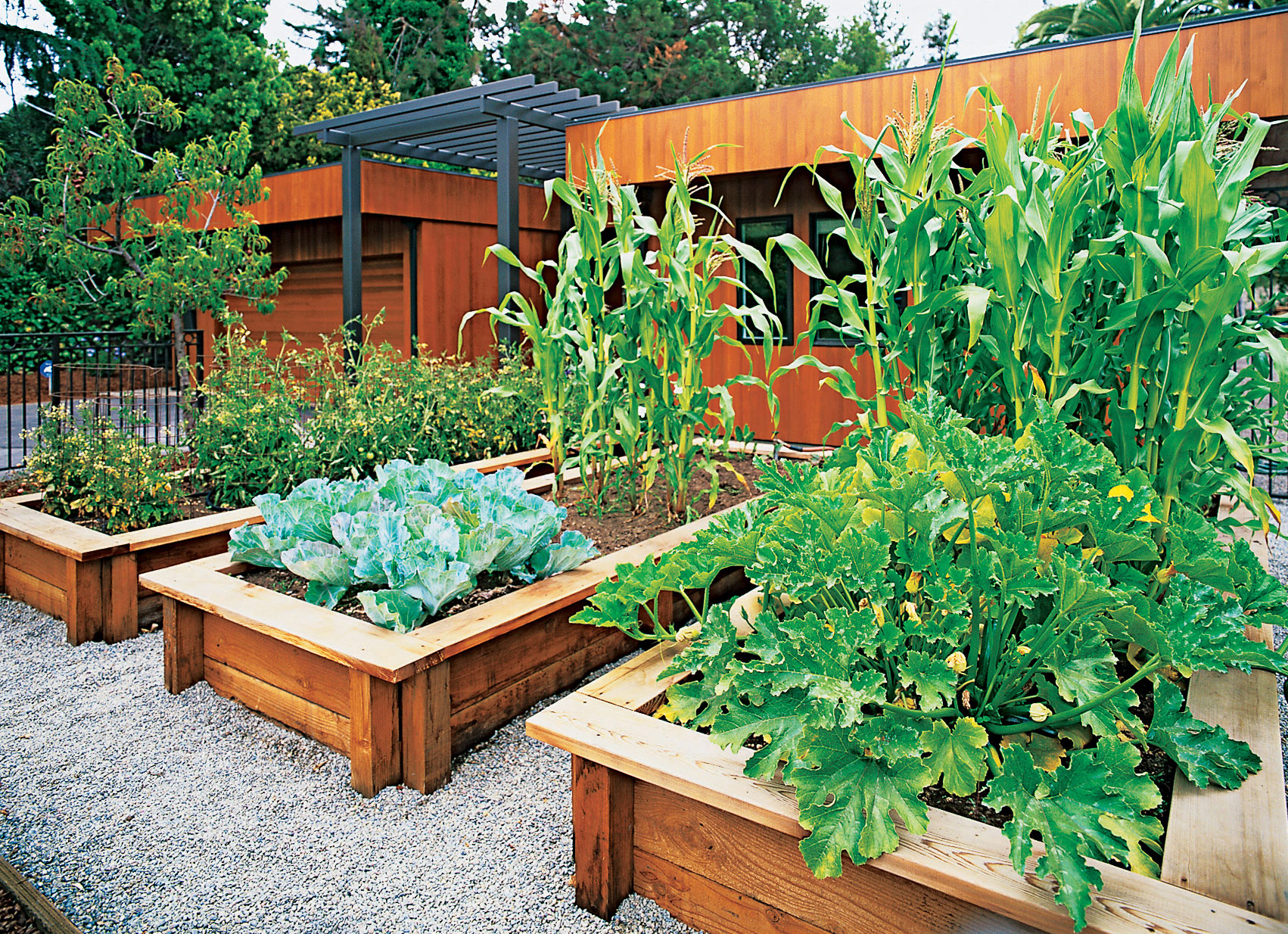 Grow Vegetables in the Front Yard - Sunset Magazine