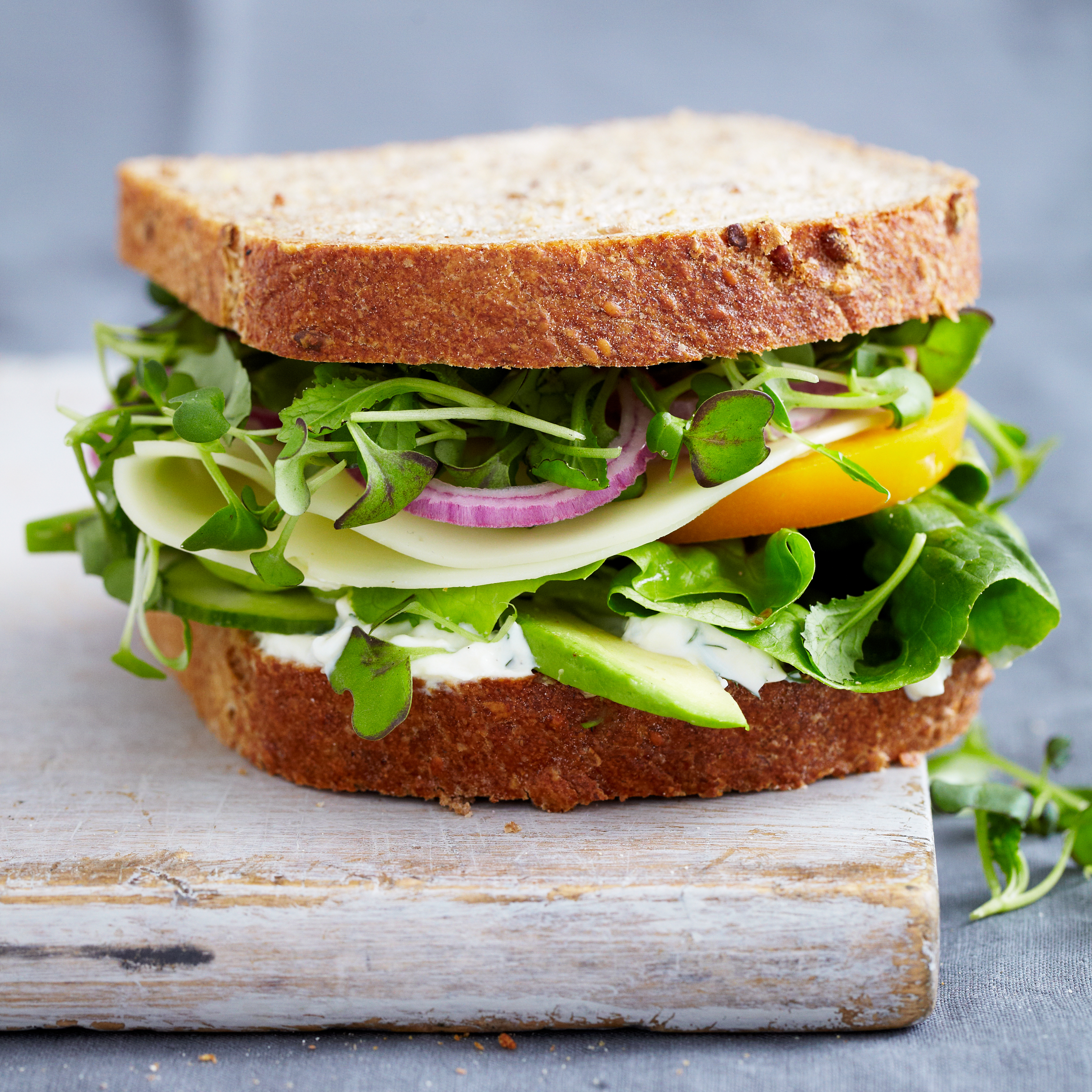 Veggie Sandwich – Recipesbnb