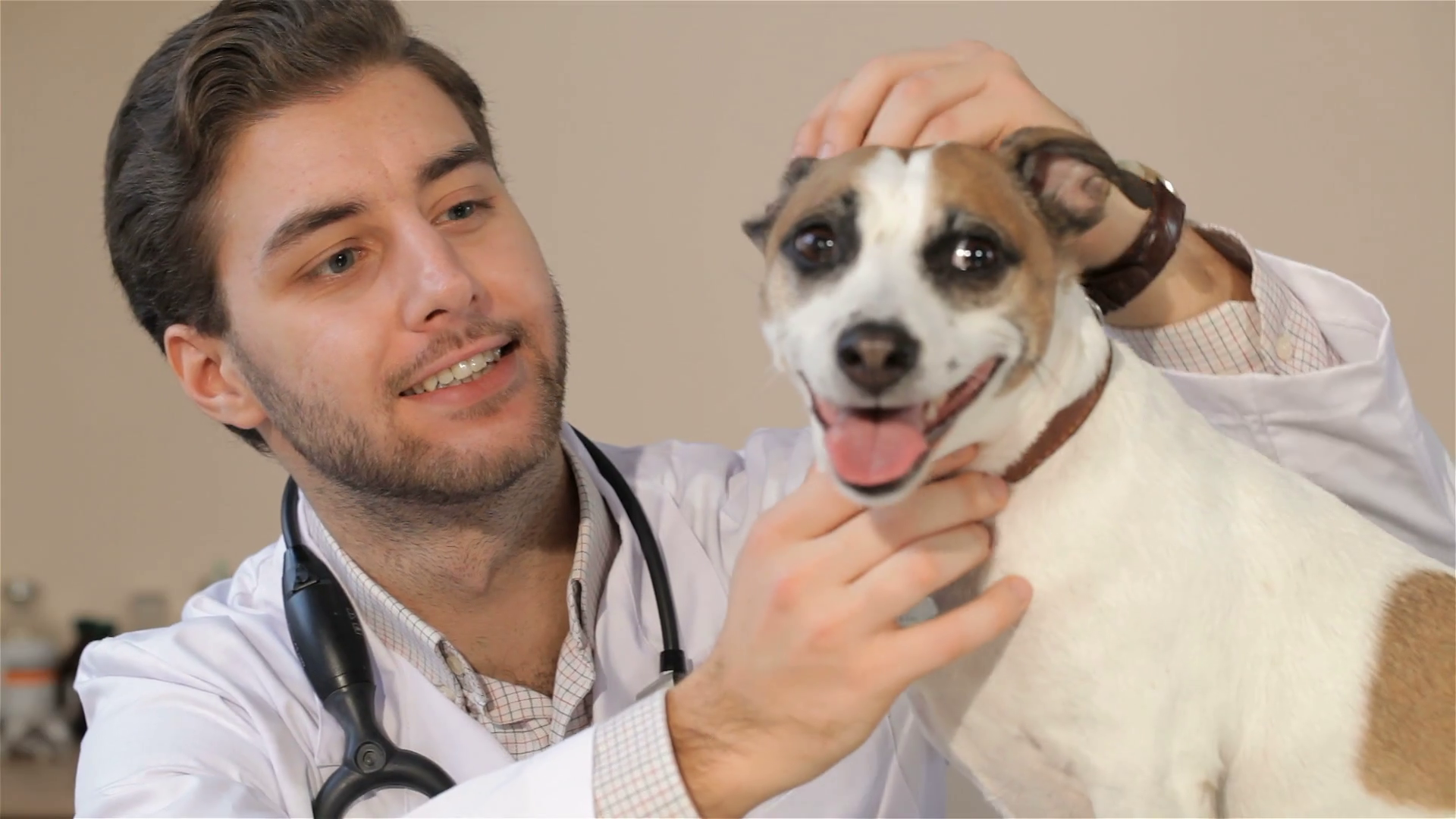 Attractive male veterinarian looking at the dog. Close up of vet ...
