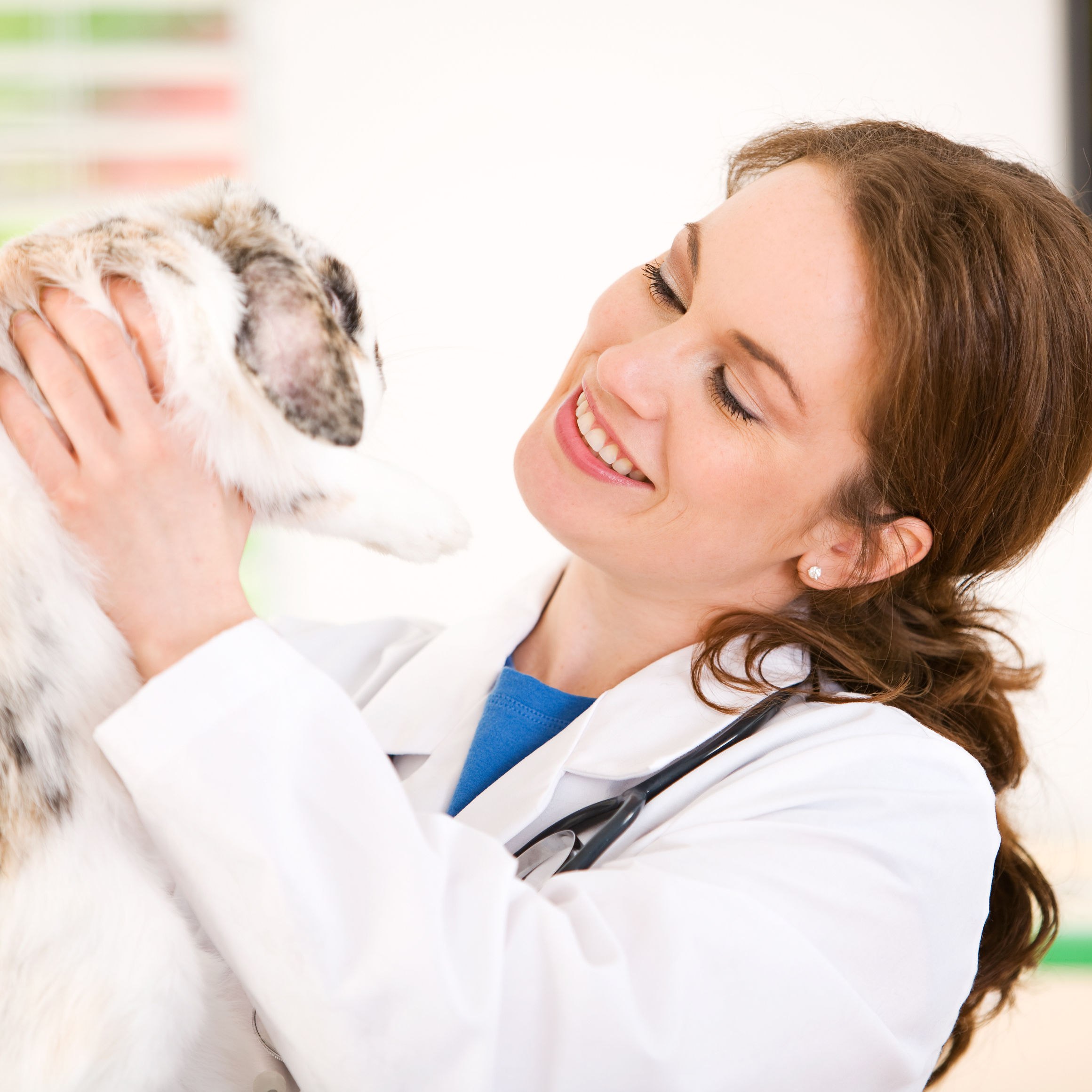 APC Veterinary | Tulsa's trusted veterinary clinic since 1956.
