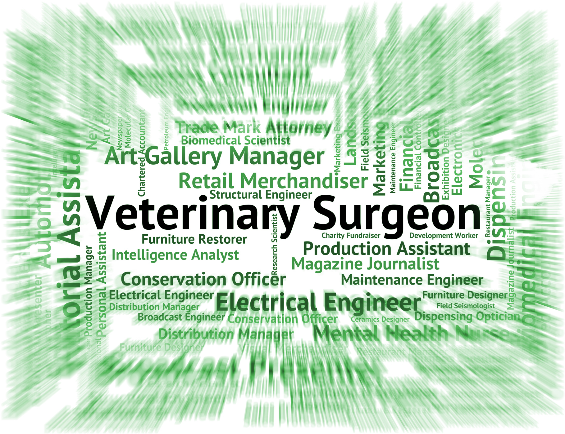 Veterinary surgeon means veterinarian text and words photo