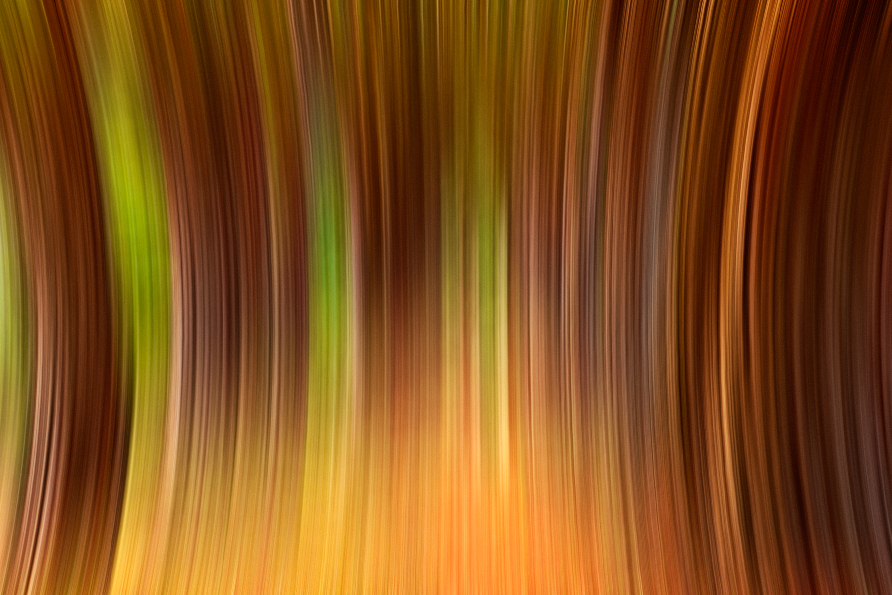 Vibrant abstract blur photo