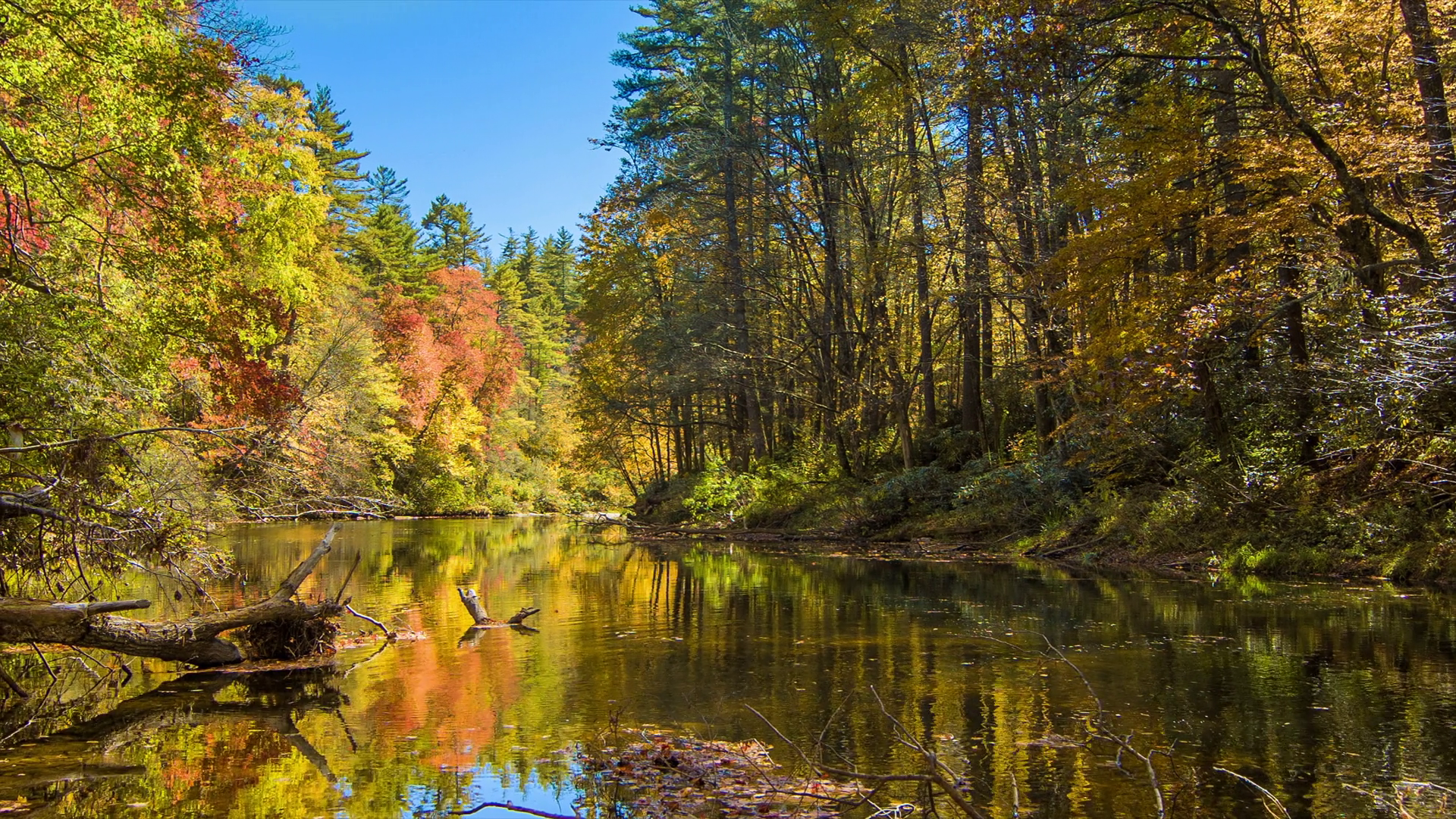 Vibrant Autumn Colors on the Linville River with Water Movement on a ...