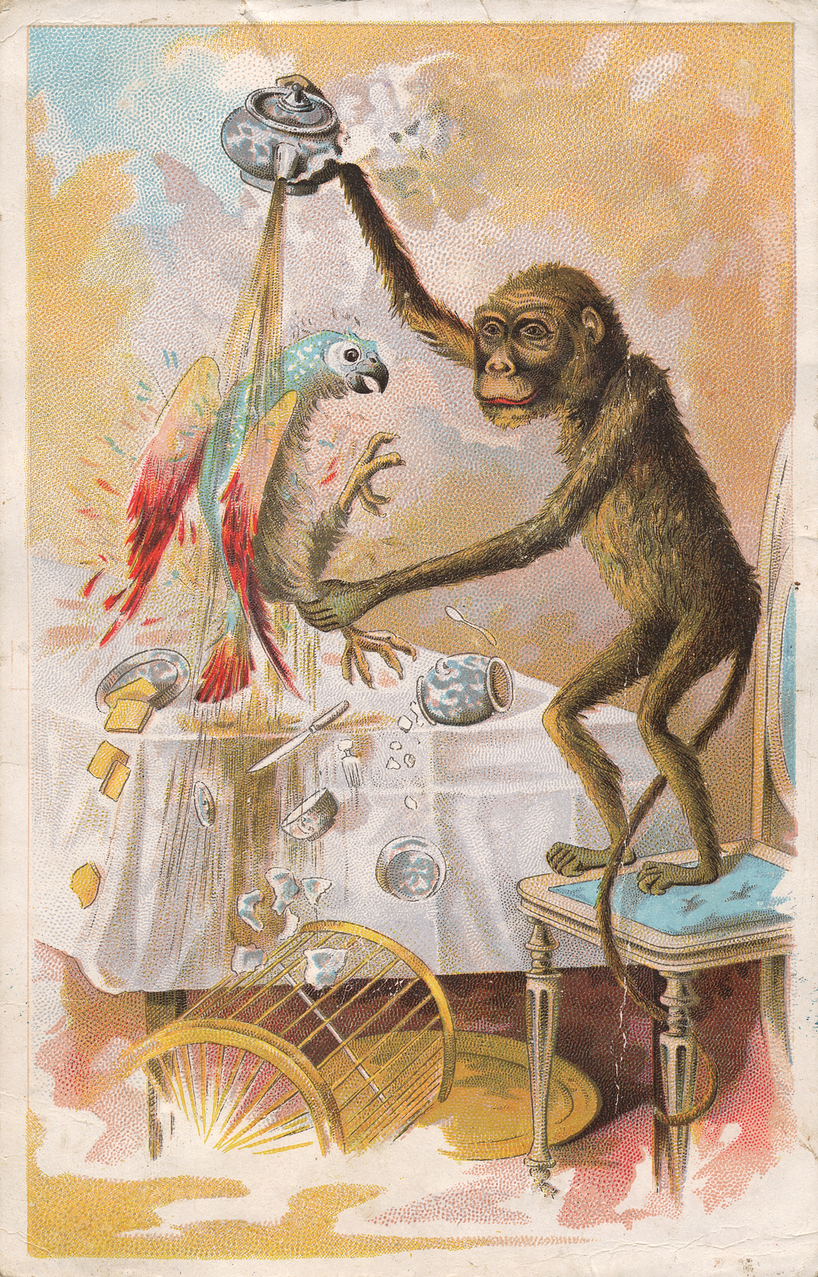 Victorian Trade Card - Monkey Business, Ad, Old, Picture, Pets, HQ Photo