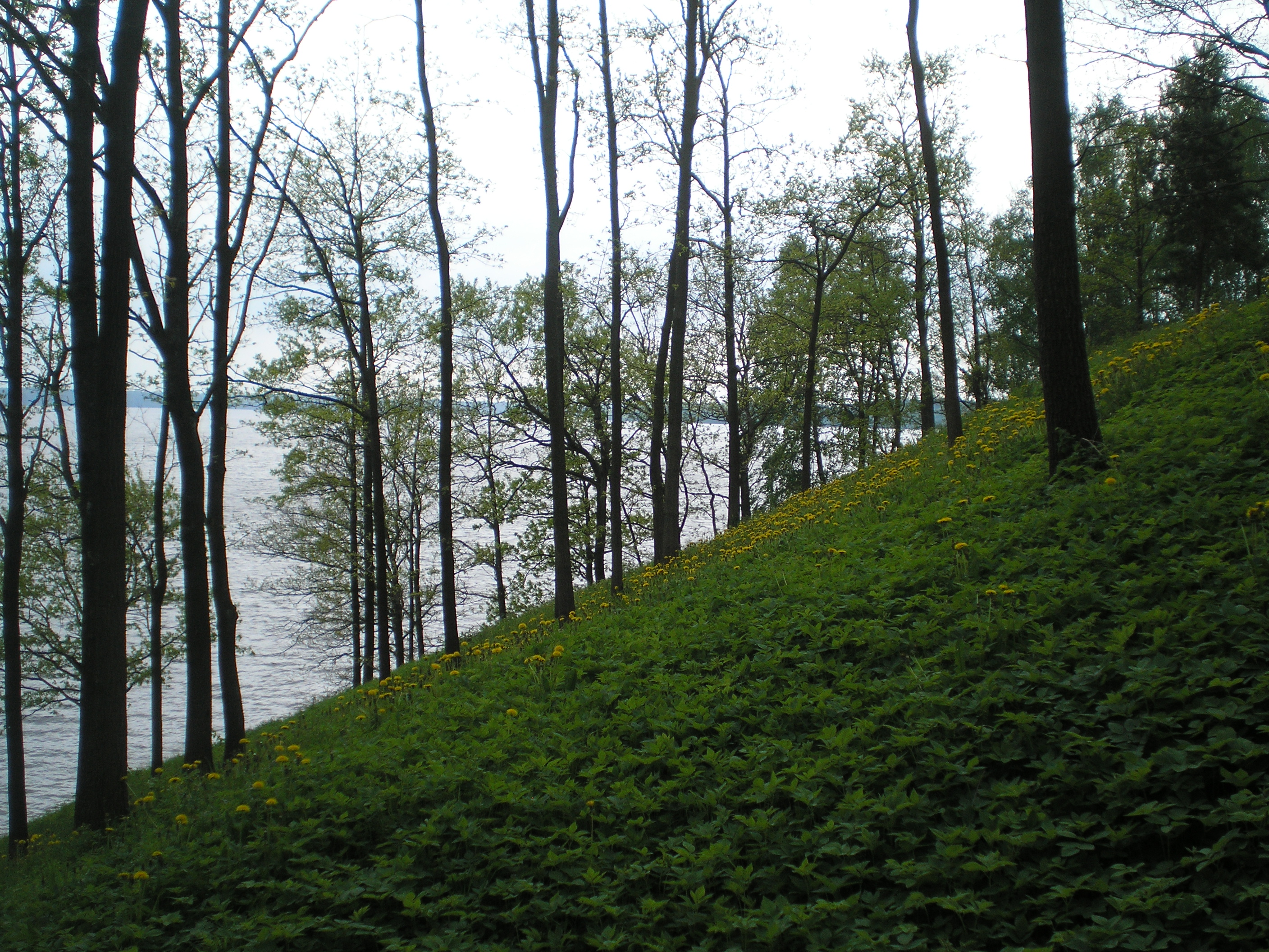 Vieskunai mound photo