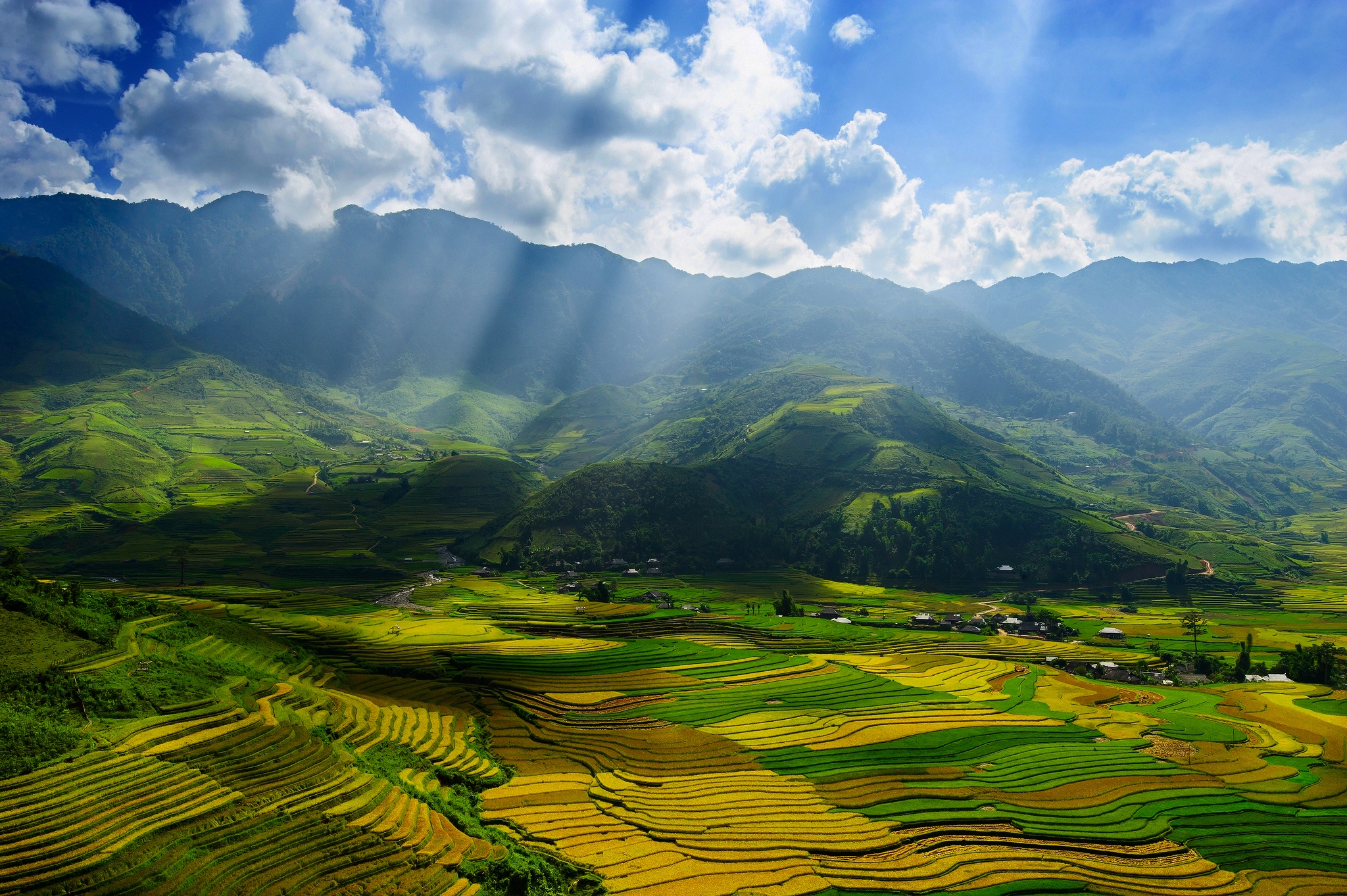 Wallpaper fields, rays, light, valley, Vietnam, September, Yenbai ...