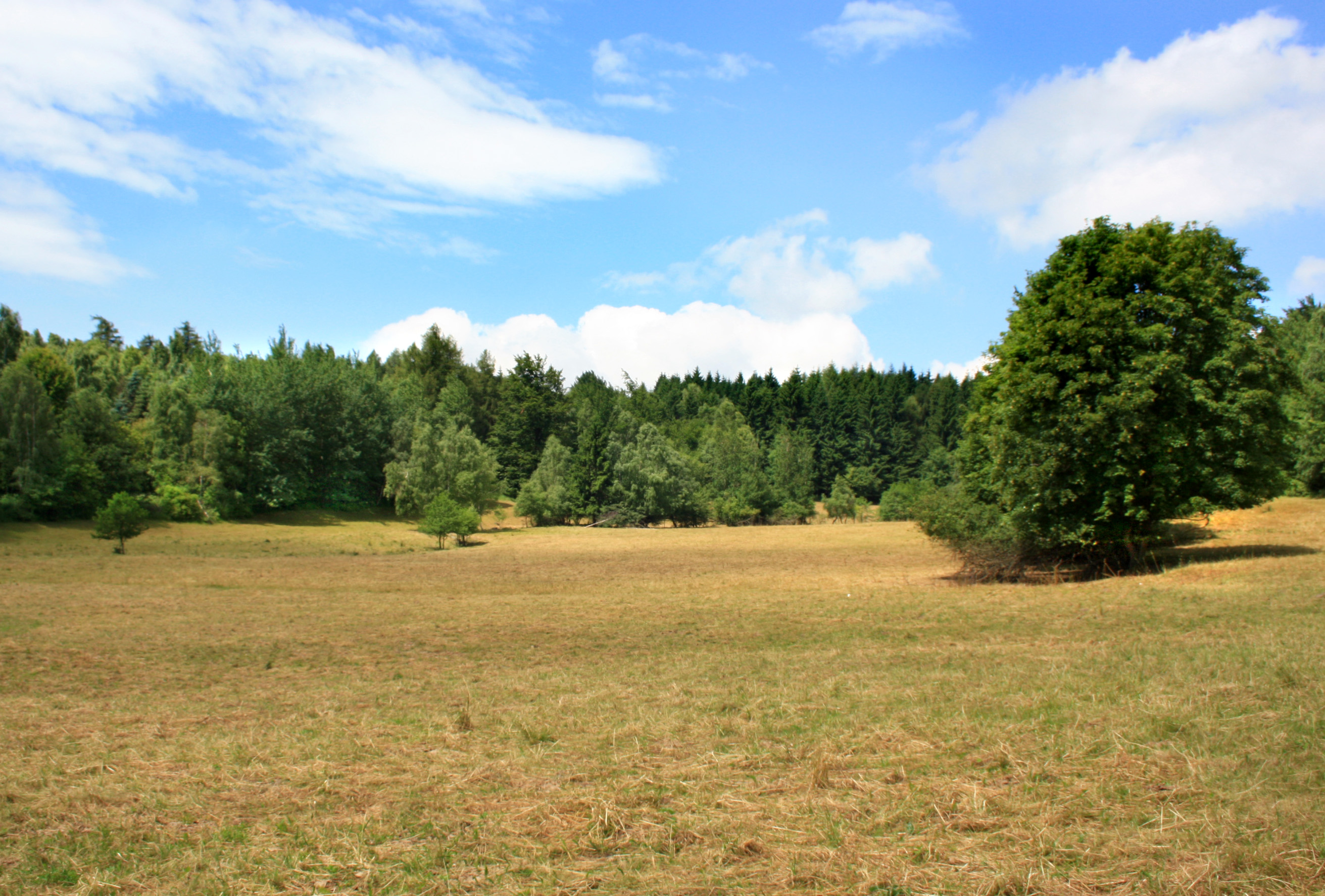File:Landscape by Boleboř village.jpg - Wikimedia Commons