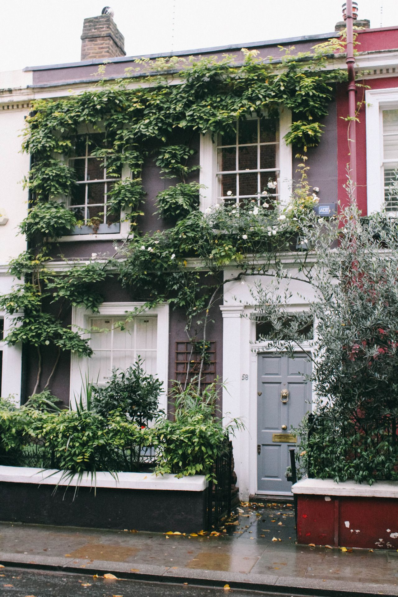 Vine covered house | GARDENS | Pinterest | House, Gardens and Curb ...