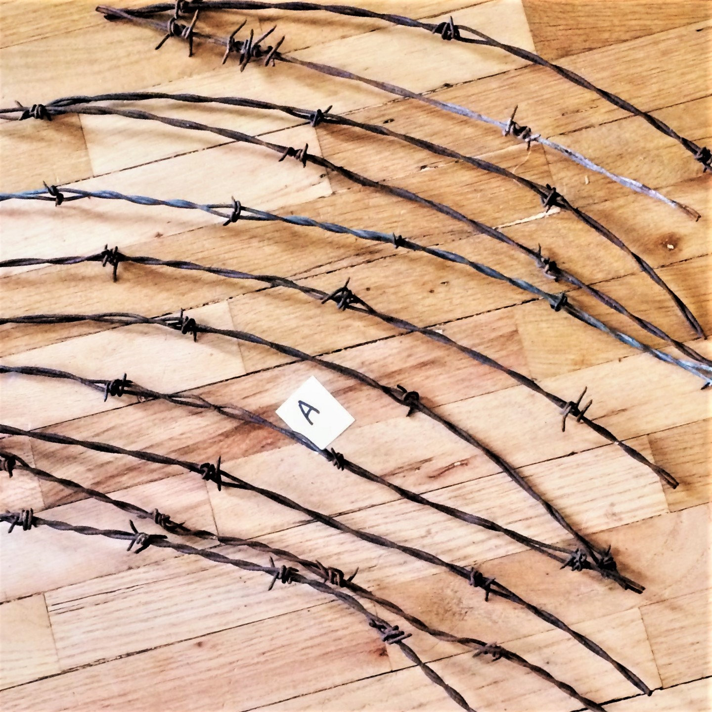 Vintage Barbed Wire, Barb Wire, Bobbed Wire Bundle of 11 Pieces ...