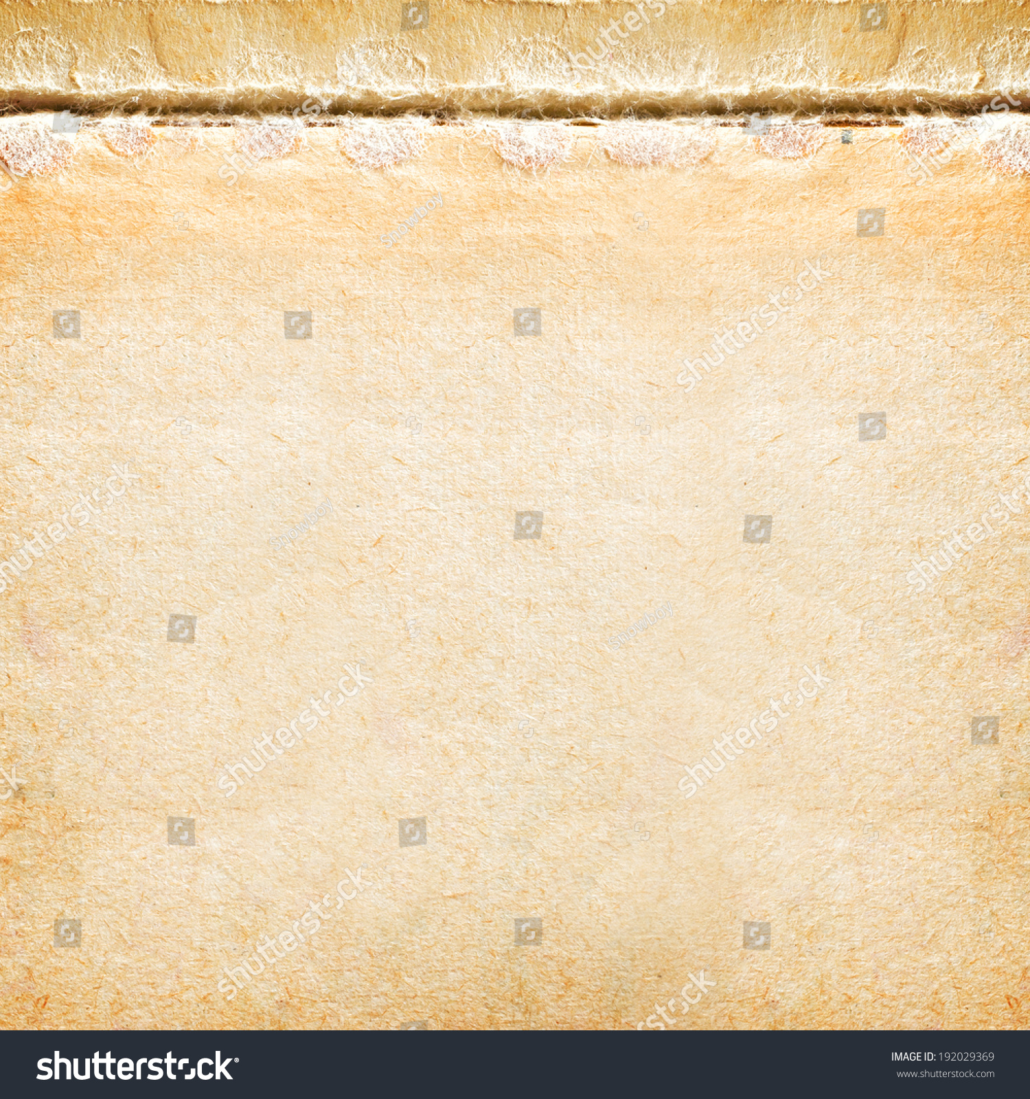 Vintage Book Paper Texture Stock Photo (Royalty Free) (Royalty Free ...