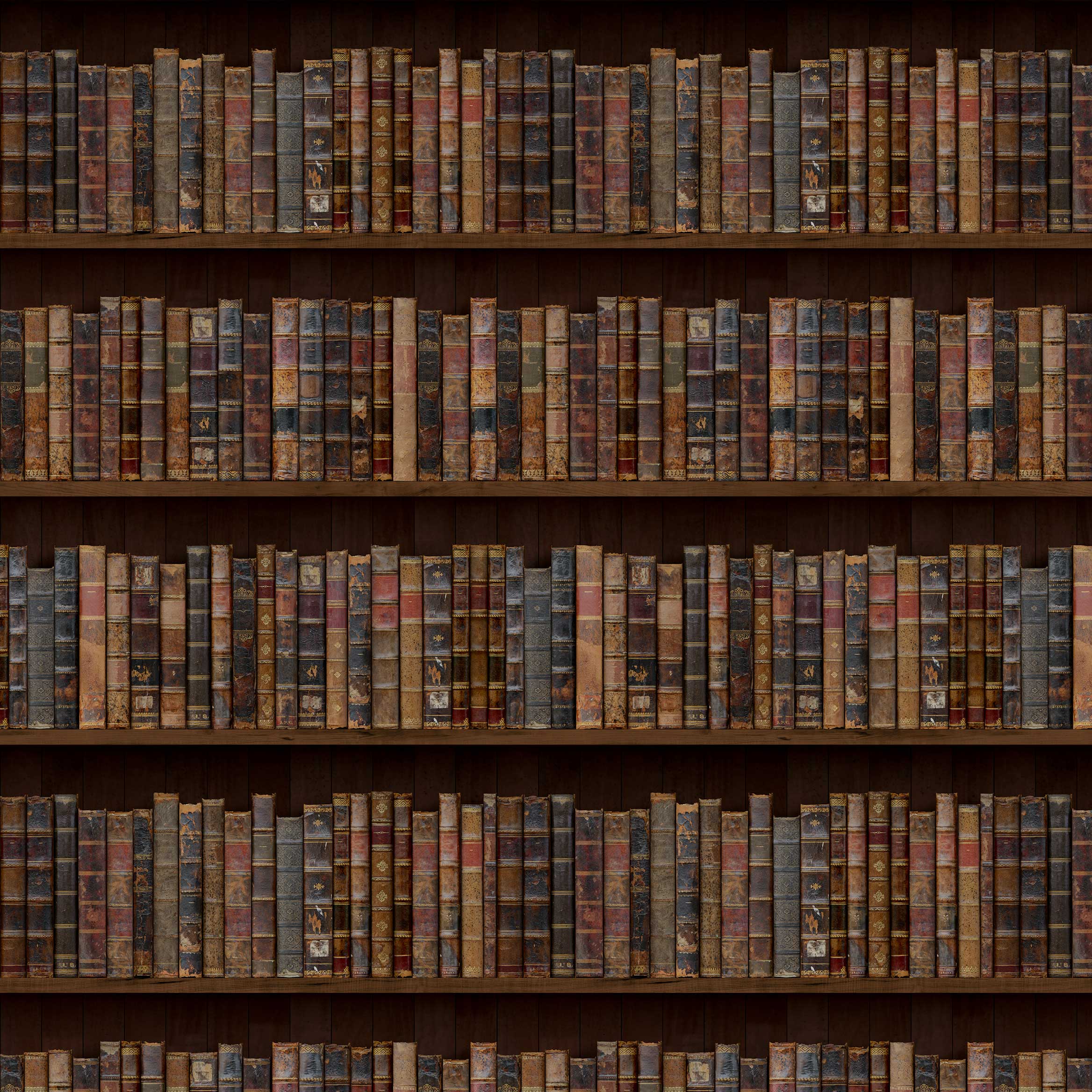 Vintage Books Wallpaper by Wallpaper + Folk | FEATHR™