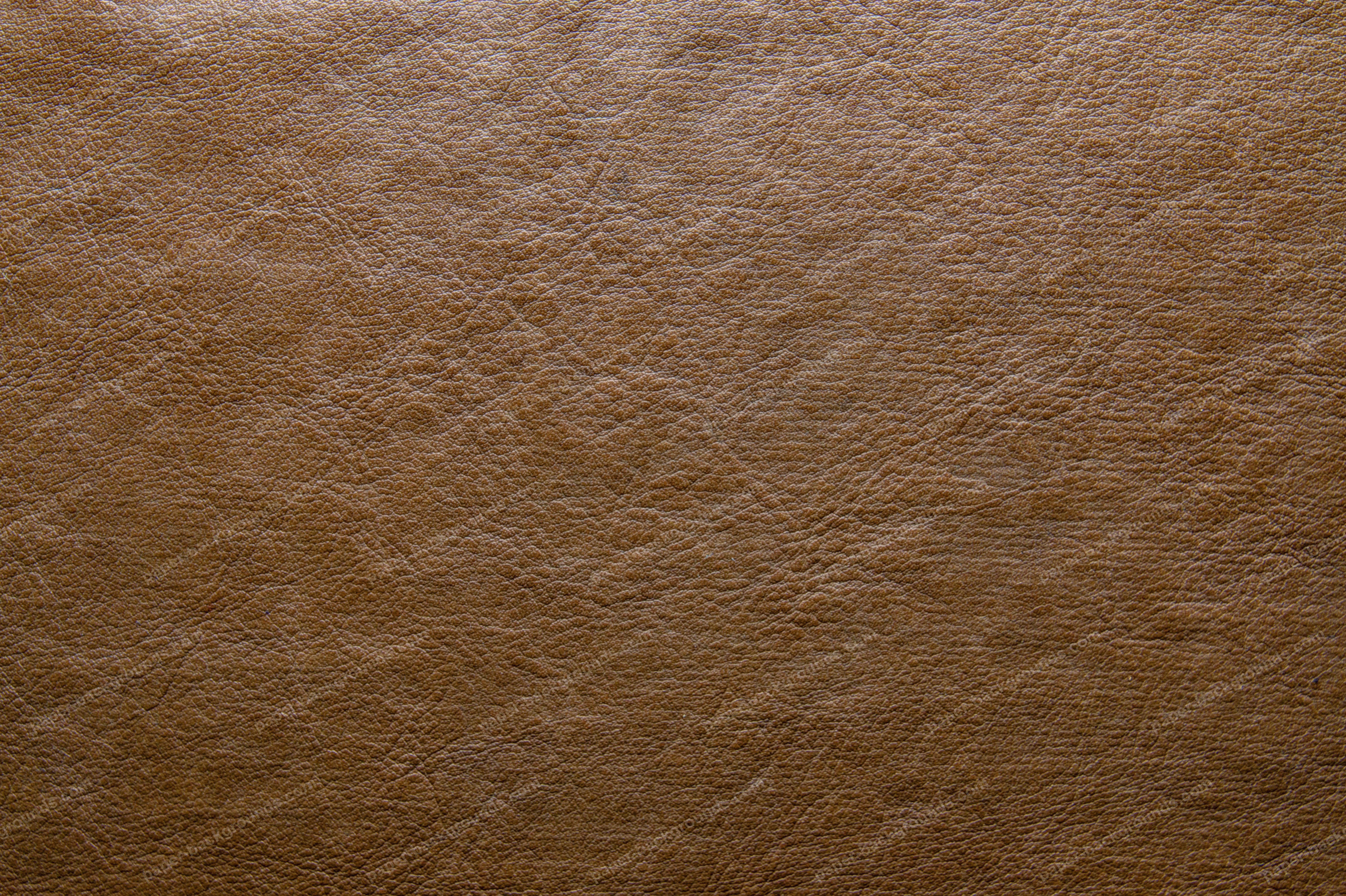 Paper Backgrounds | Brown Vintage Leather Texture