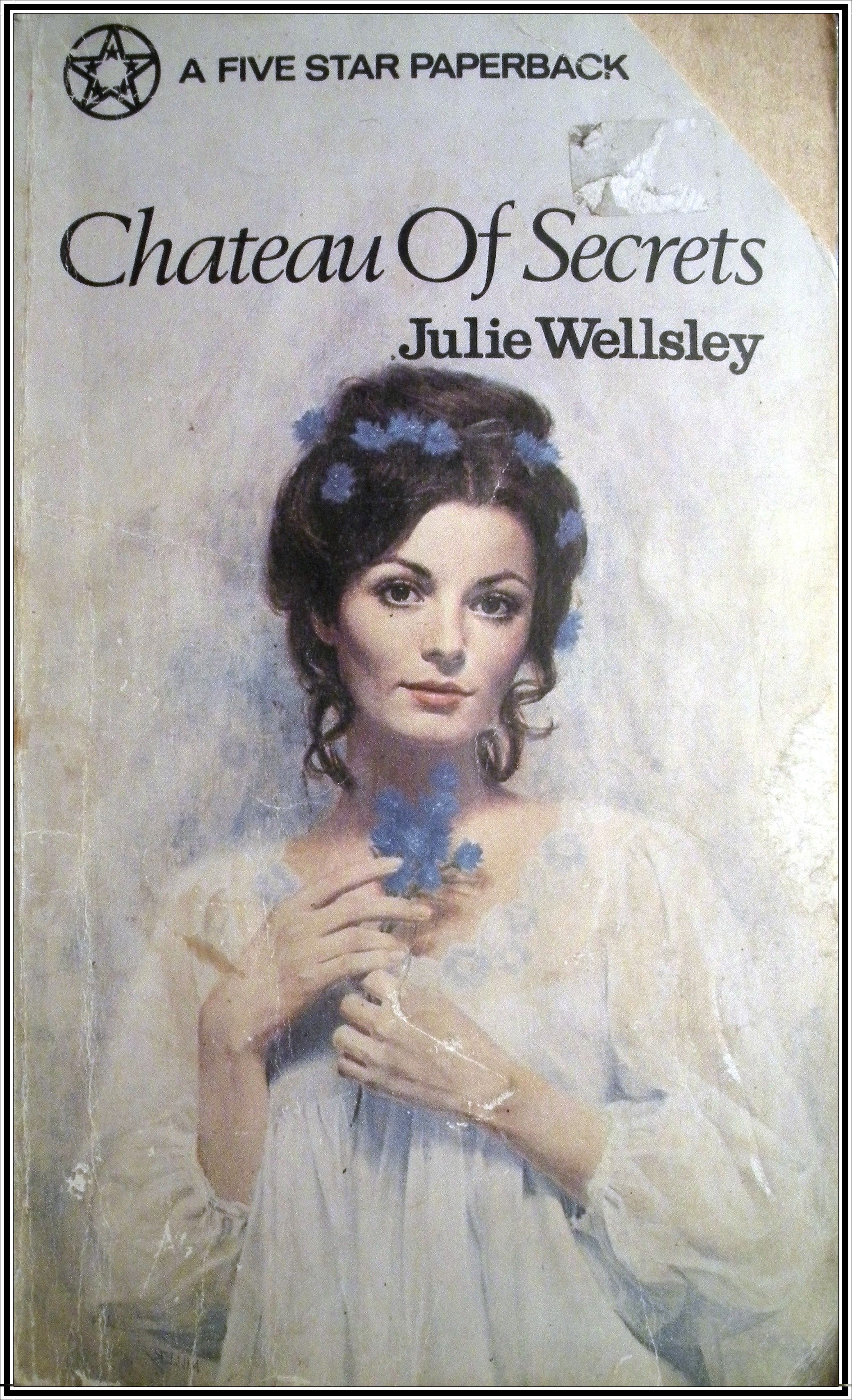 Chateau of Secrets Julia Wellsley illus Tom Miller (same as Mary by ...