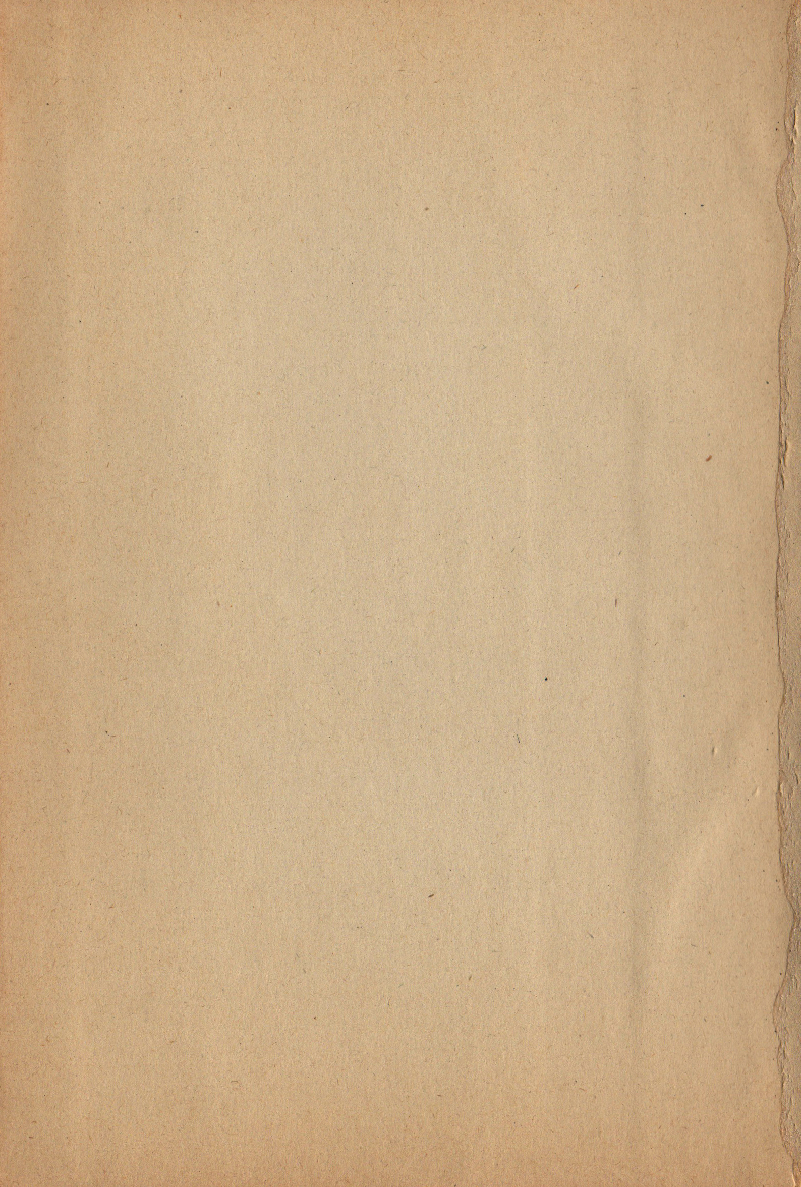 Vintage paper texture photo