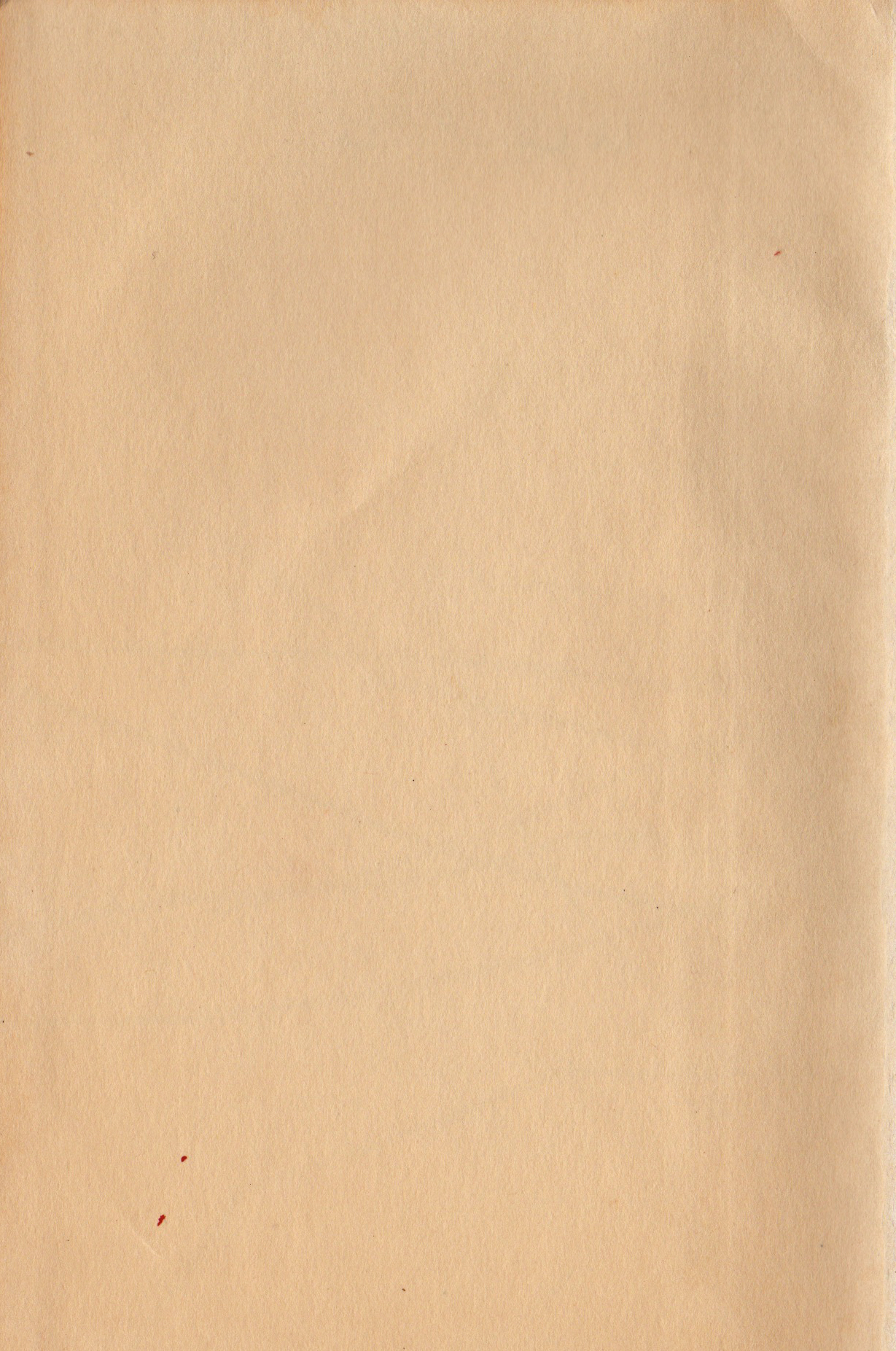 Vintage paper texture photo