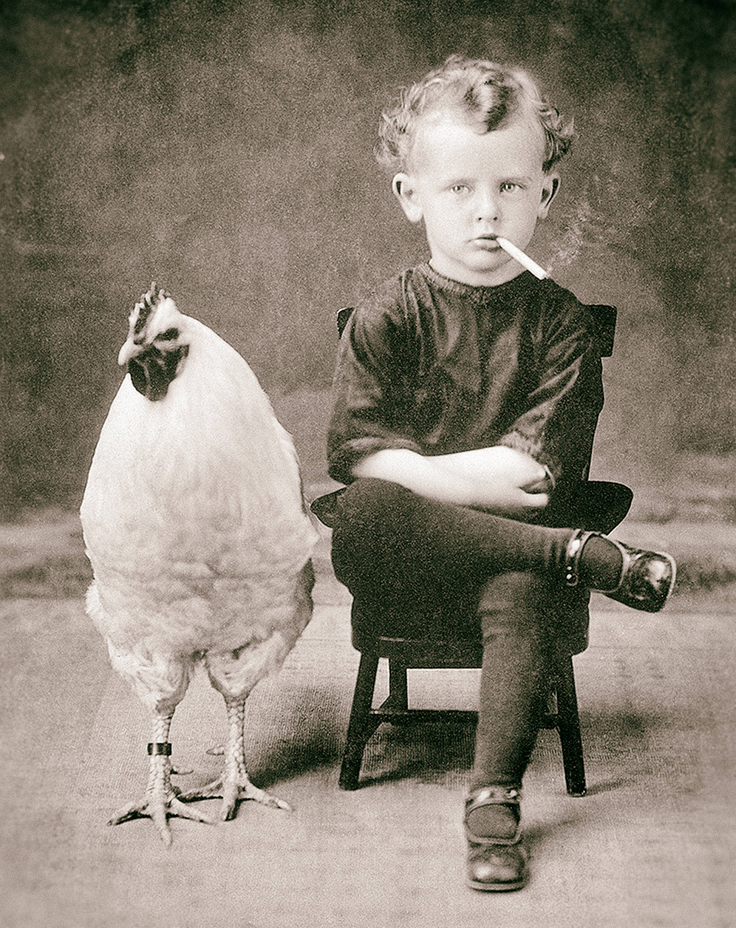 Vintage photo boy with chicken rooster smoking child antique