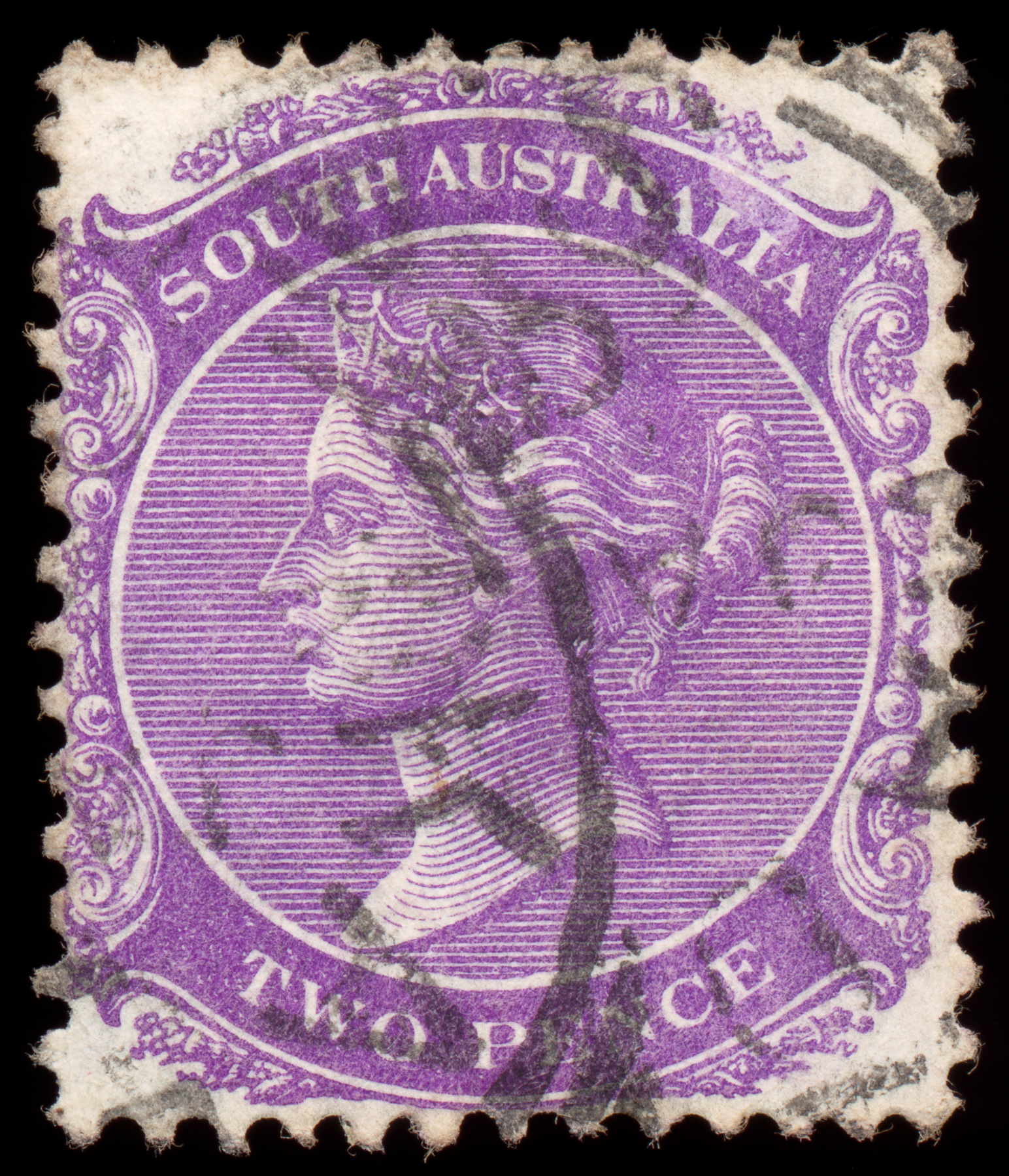 Violet queen victoria stamp photo