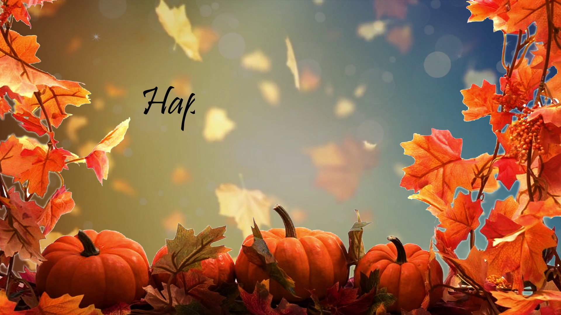 Happy Thanksgiving 02 - Virtual Green Screen Background Loop Motion ...