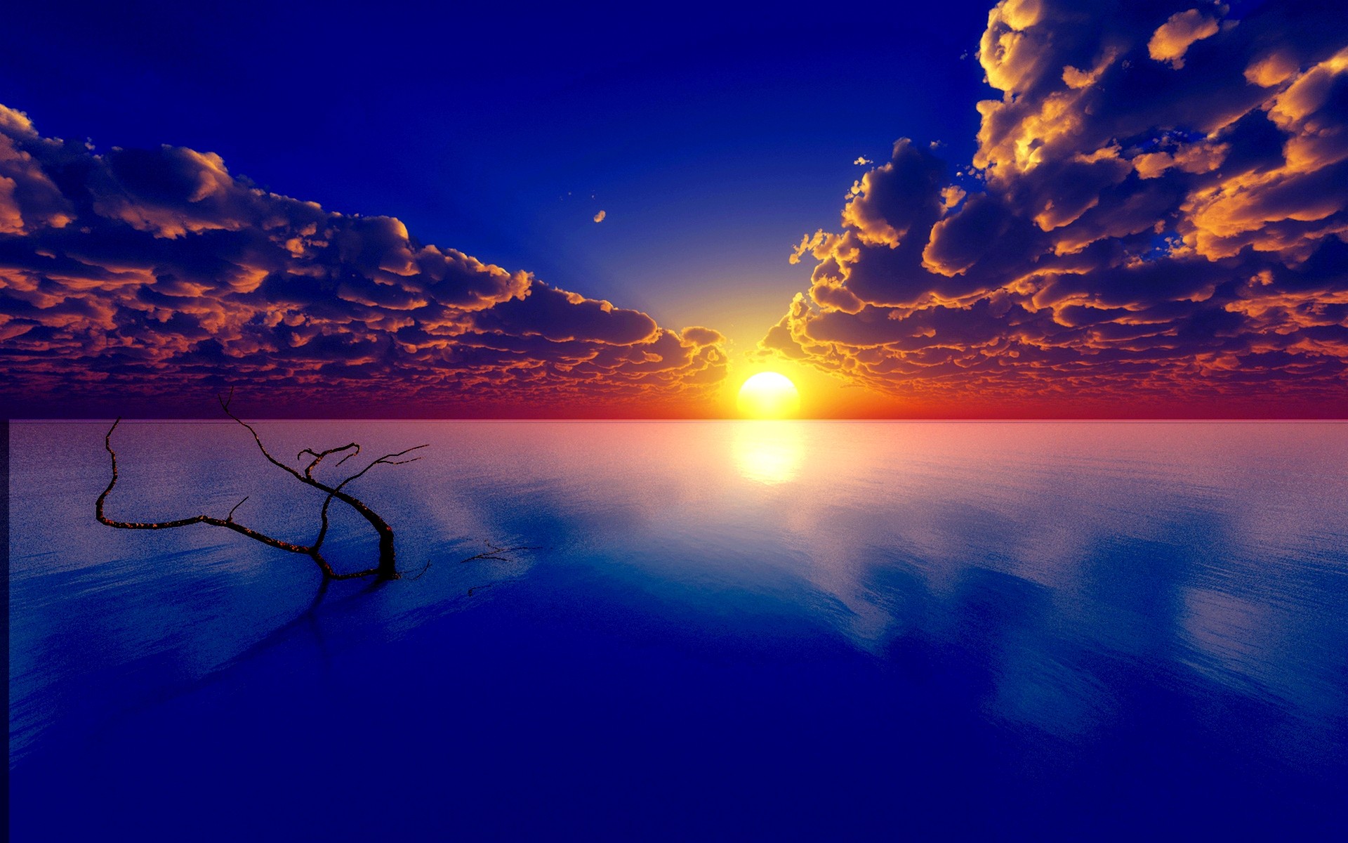 Sunset: Horizon Bright Beautiful Sky Color Tree Vivid Cloud Sea ...