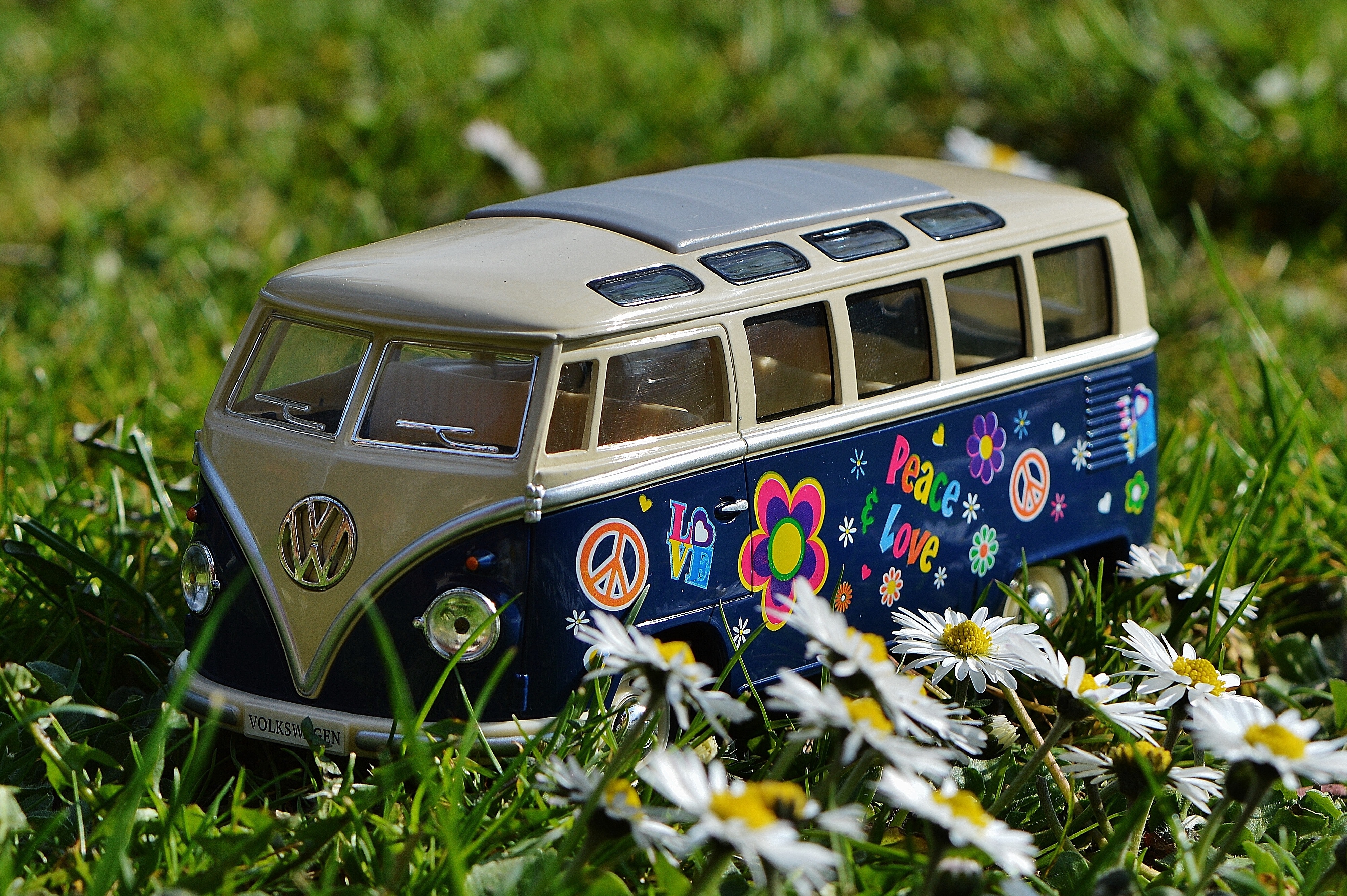 Volkswagen beige and blue van scale model near white daisy flower during daytime photo